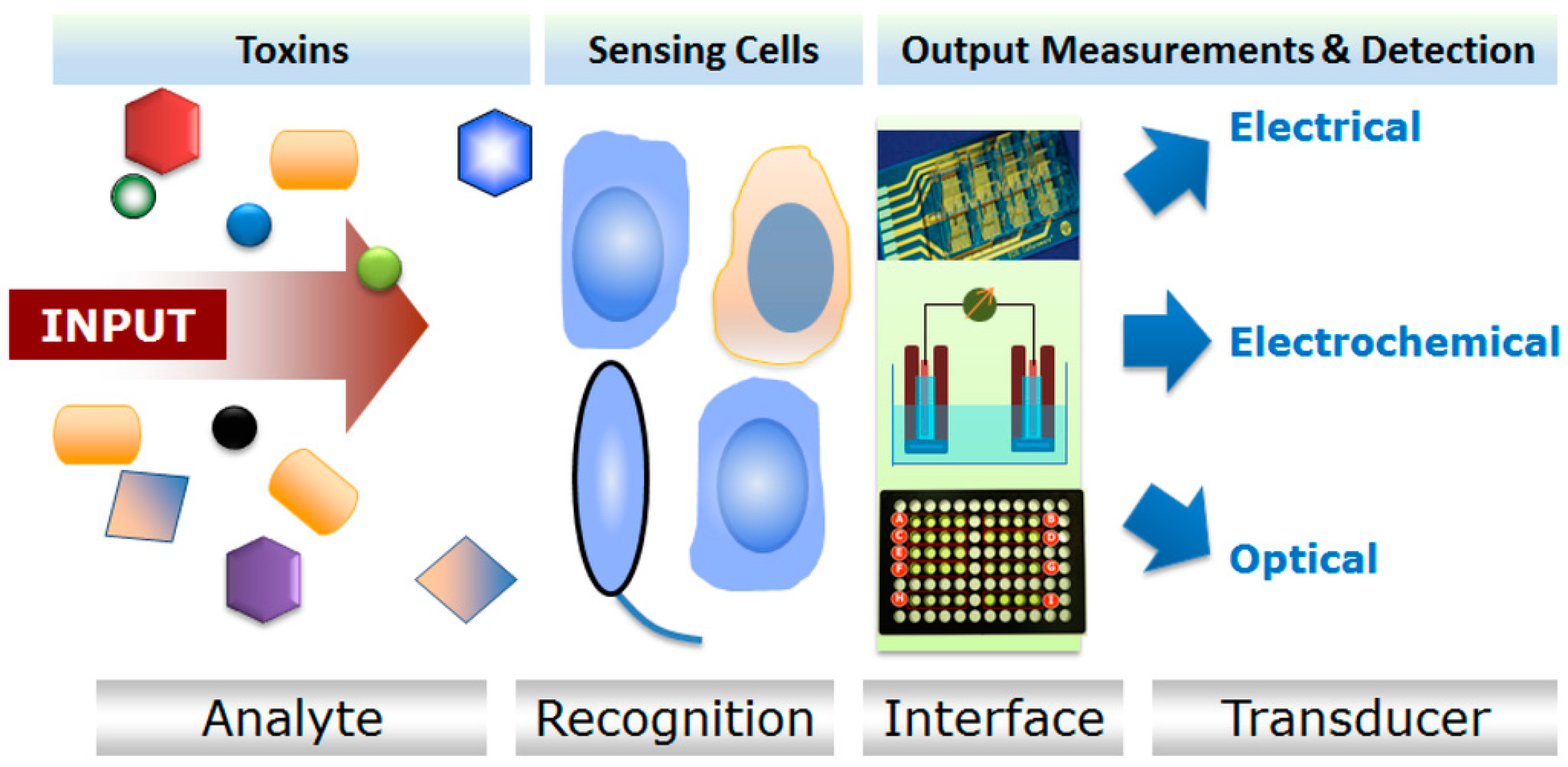 Chemosensors 06 00046 g002