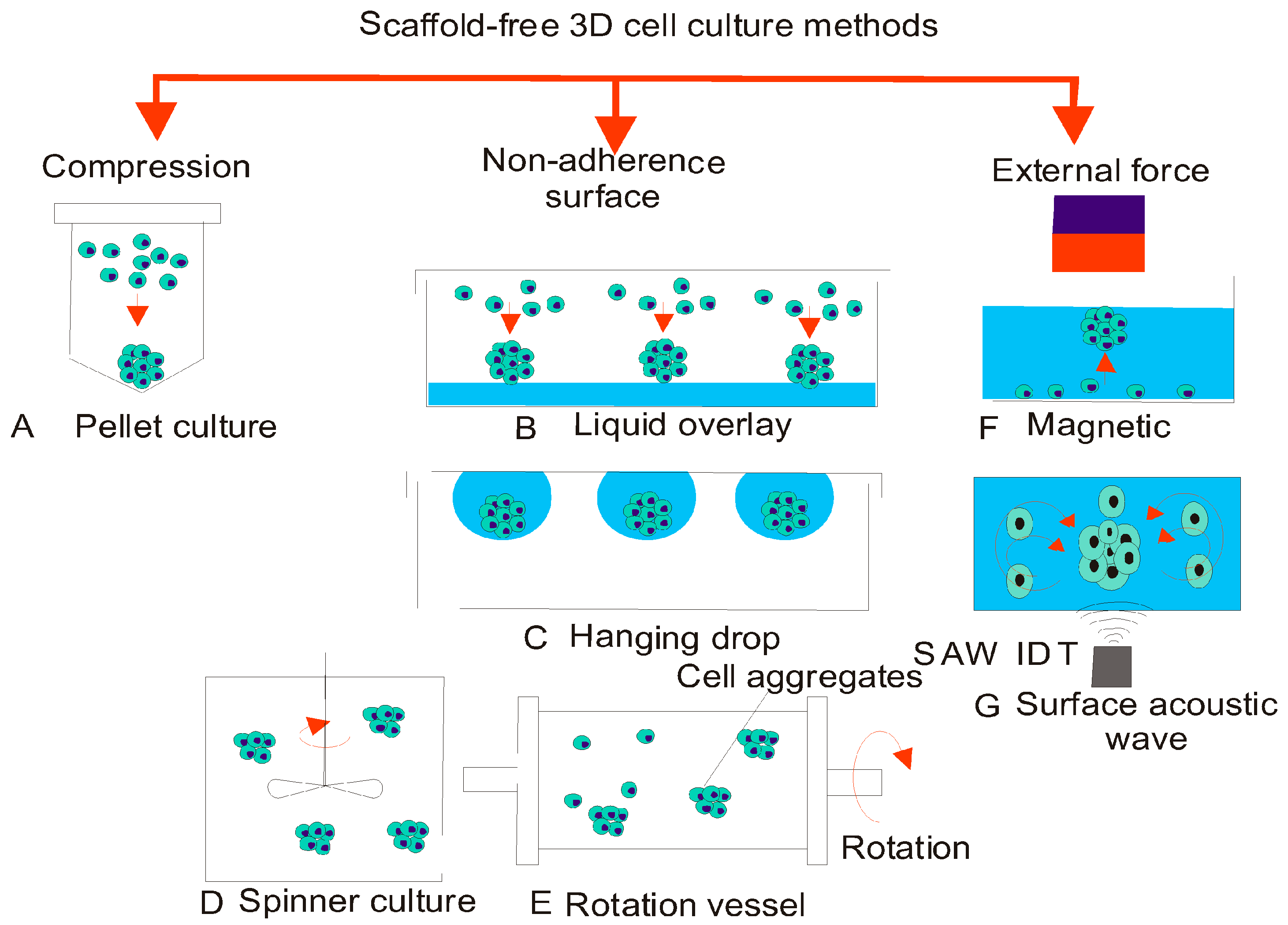 Chemosensors 06 00046 g006