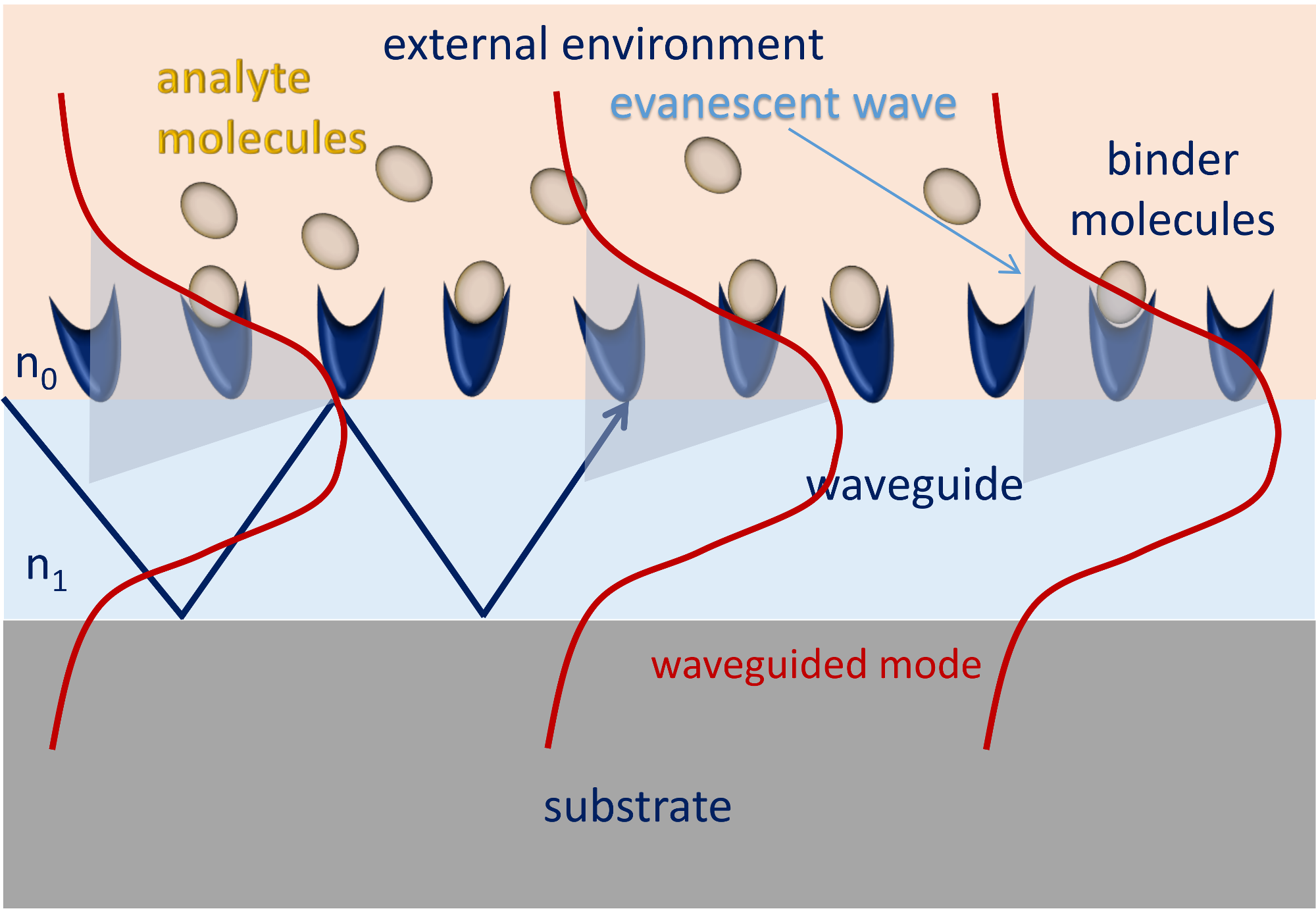 Chemosensors 06 00052 g001