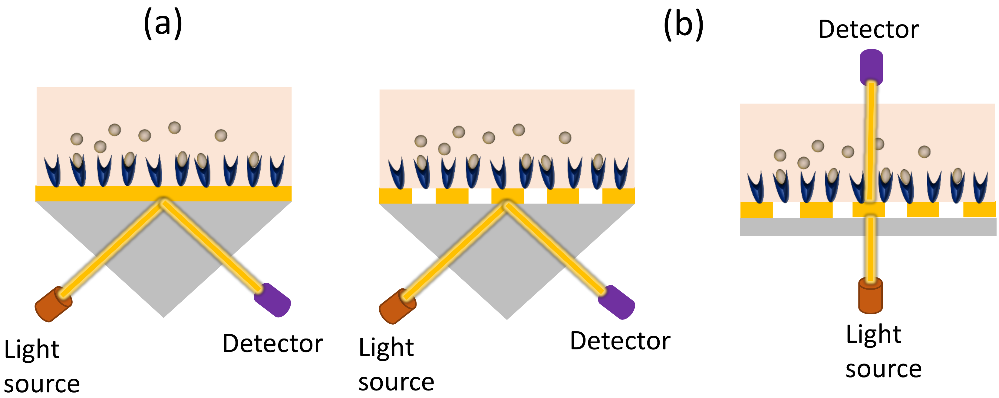 Chemosensors 06 00052 g002