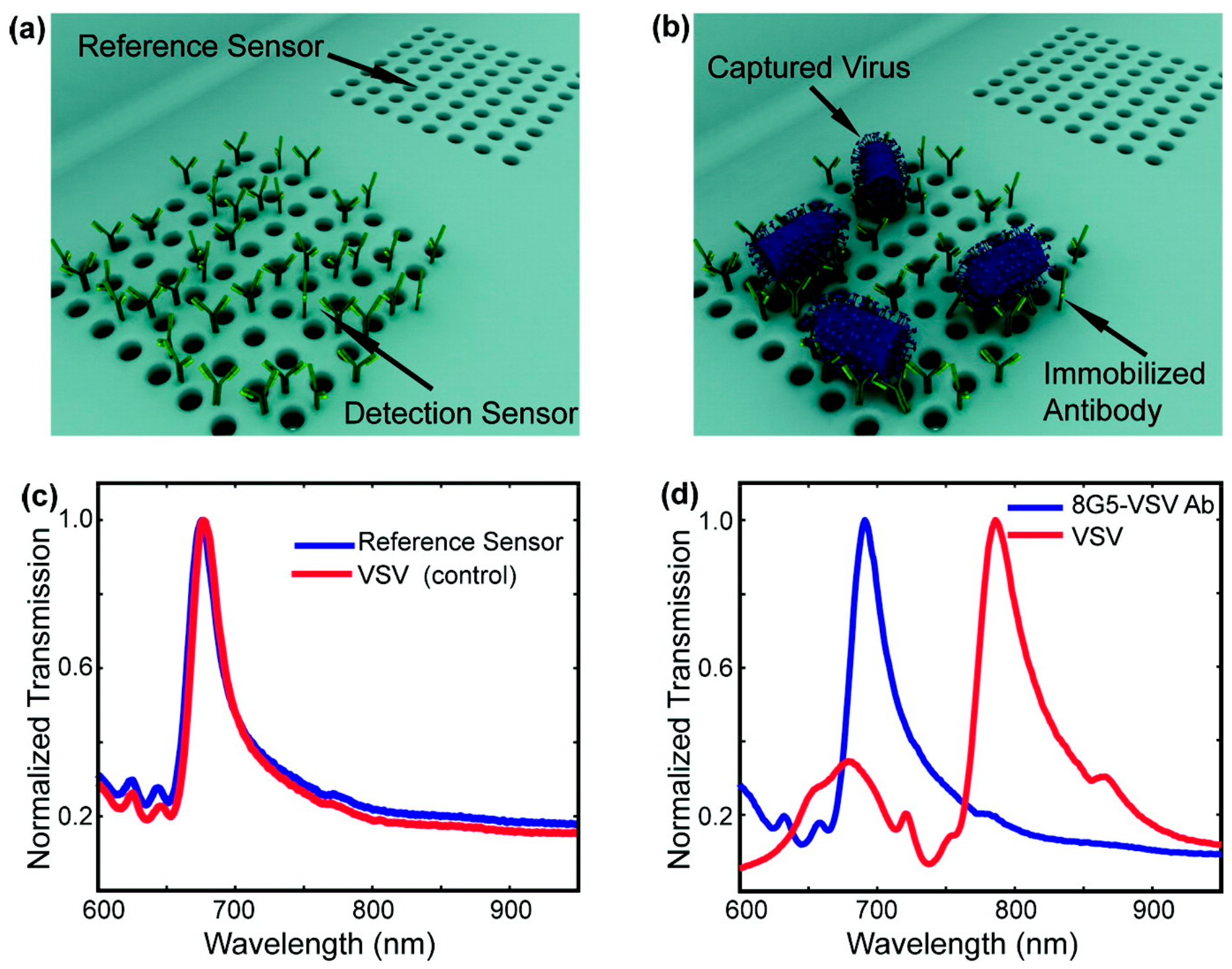 Chemosensors 06 00052 g003