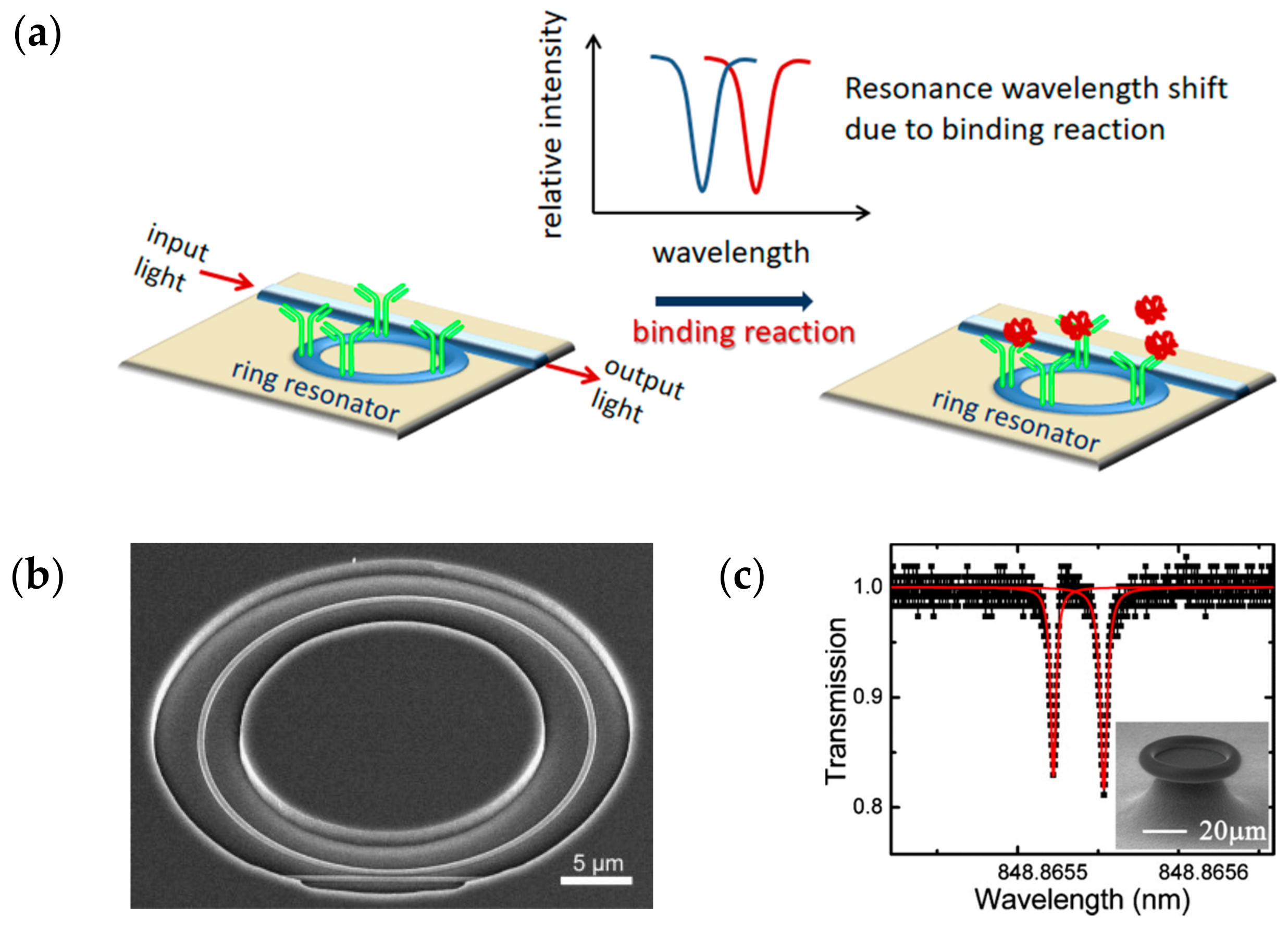 Chemosensors 06 00052 g007