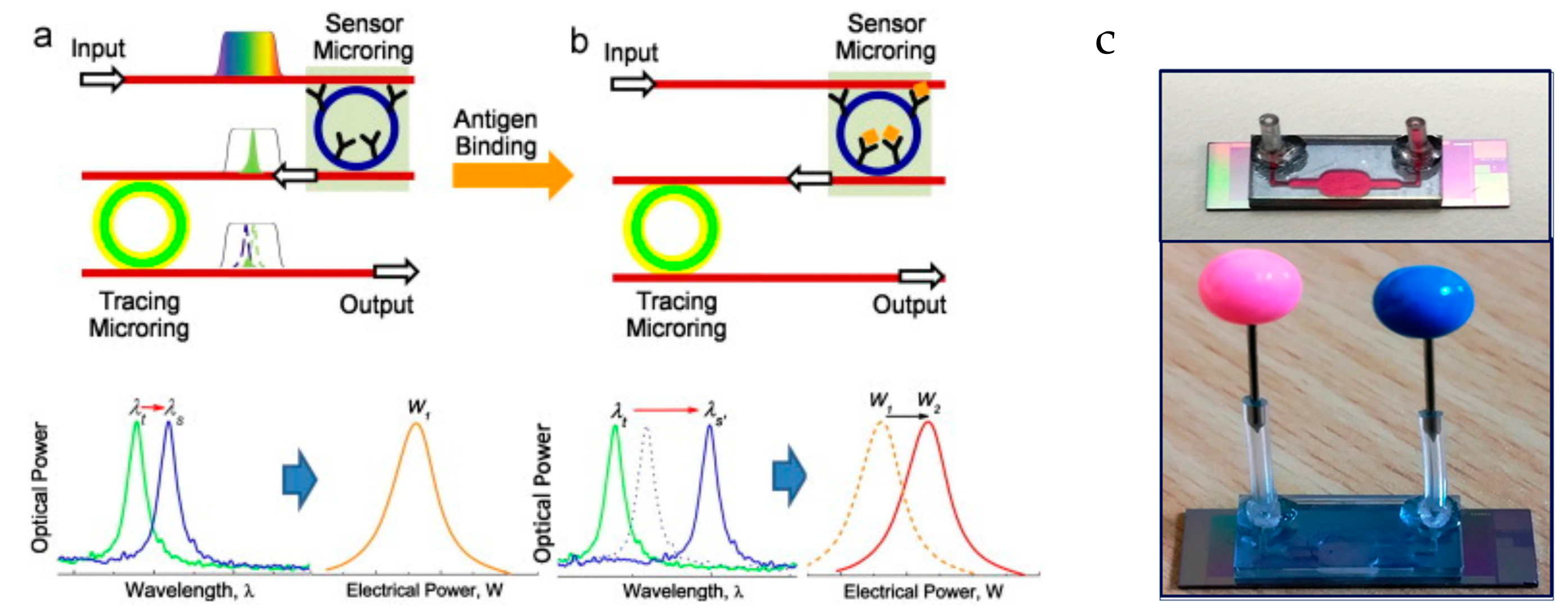 Chemosensors 06 00052 g008