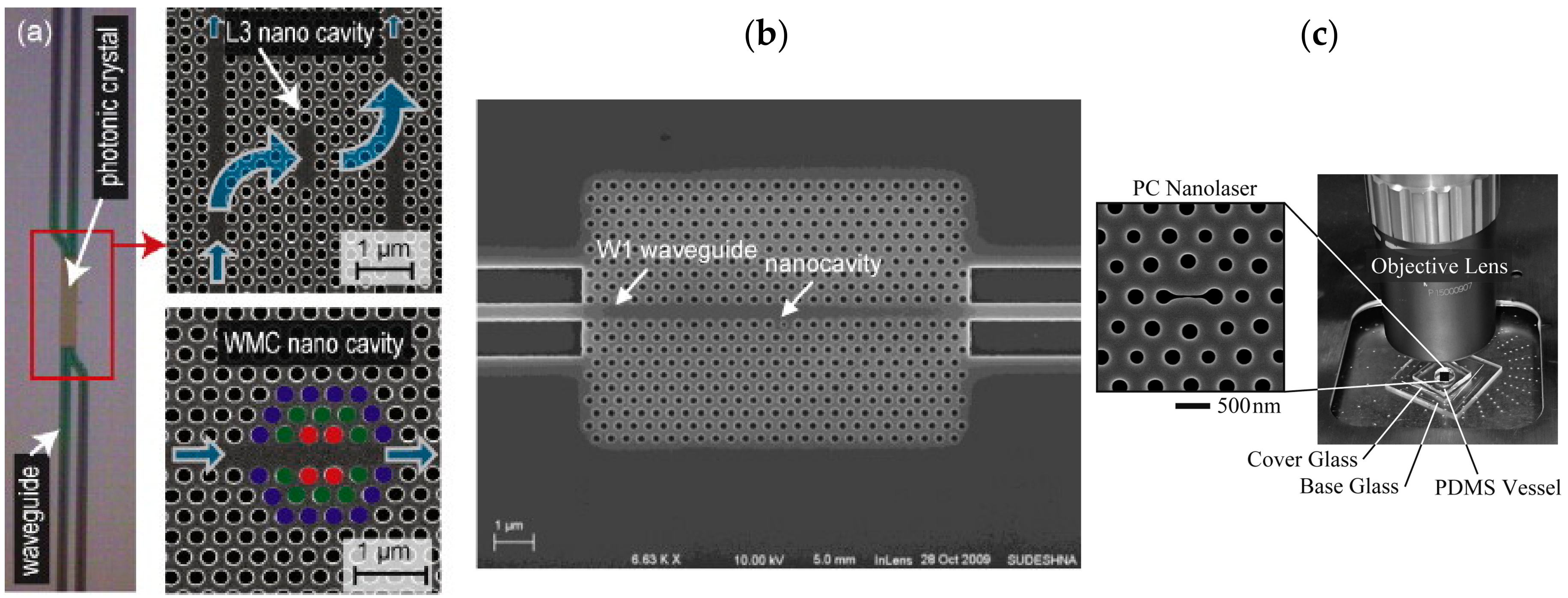 Chemosensors 06 00052 g010