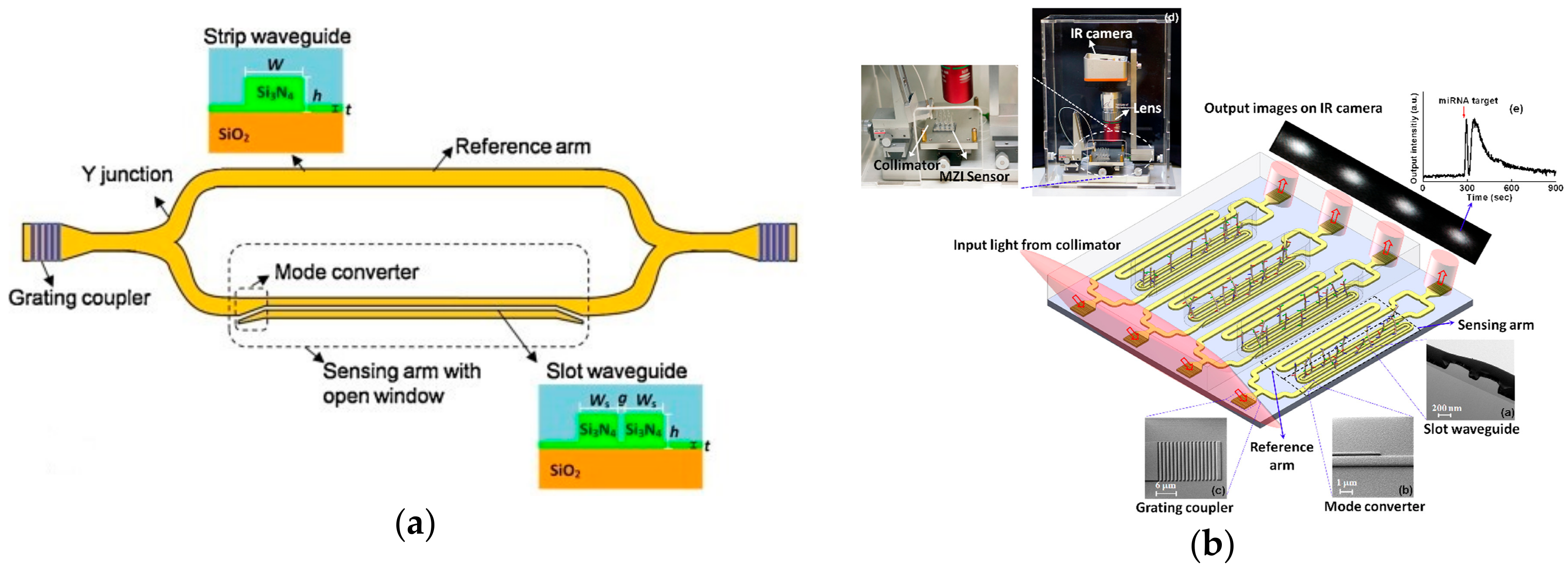 Chemosensors 06 00052 g012