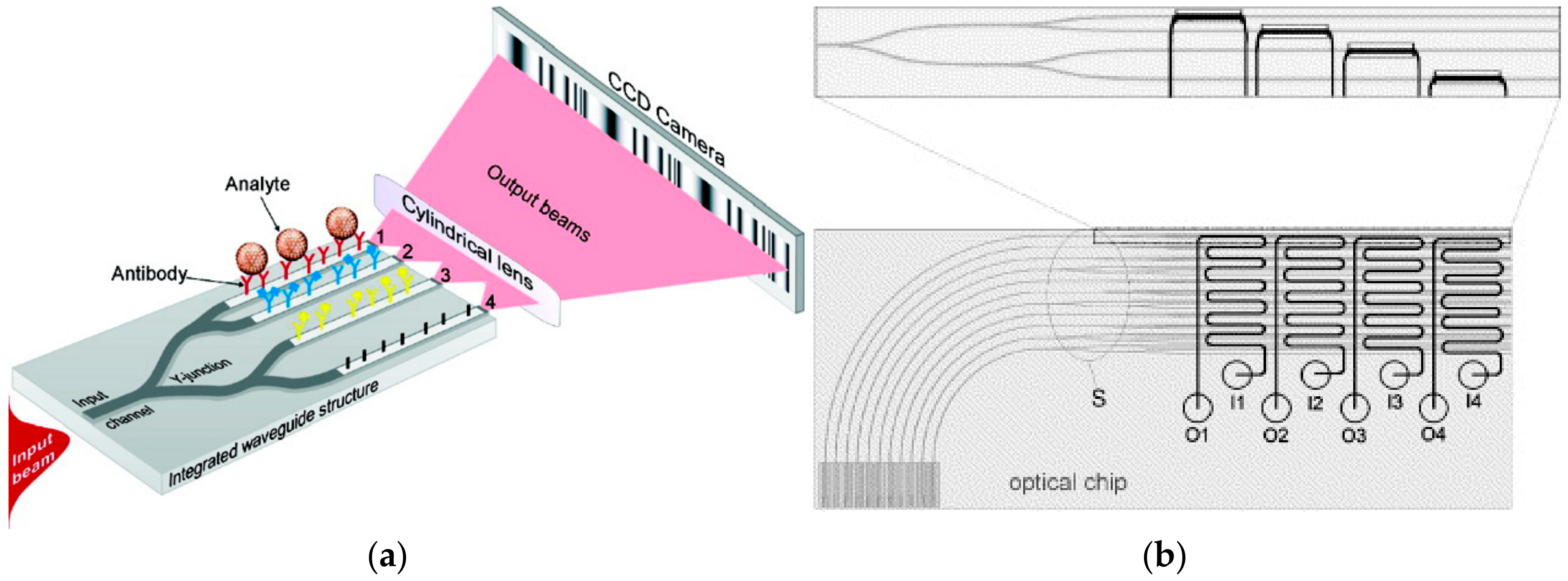 Chemosensors 06 00052 g013