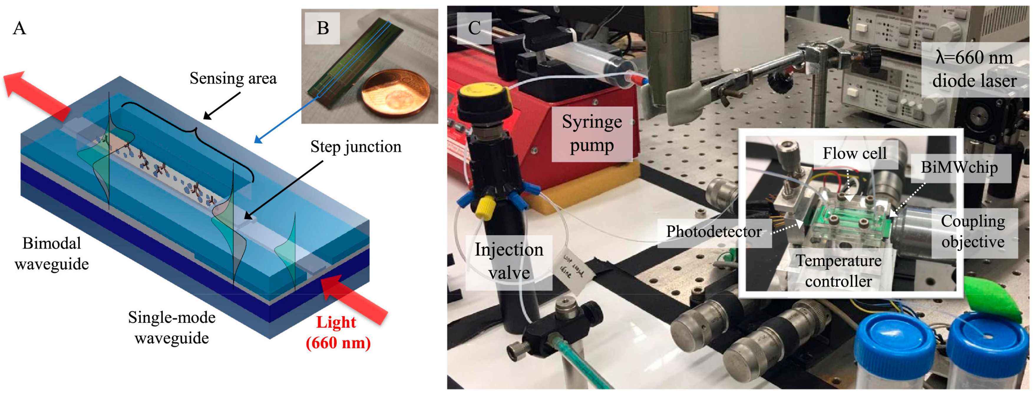 Chemosensors 06 00052 g014