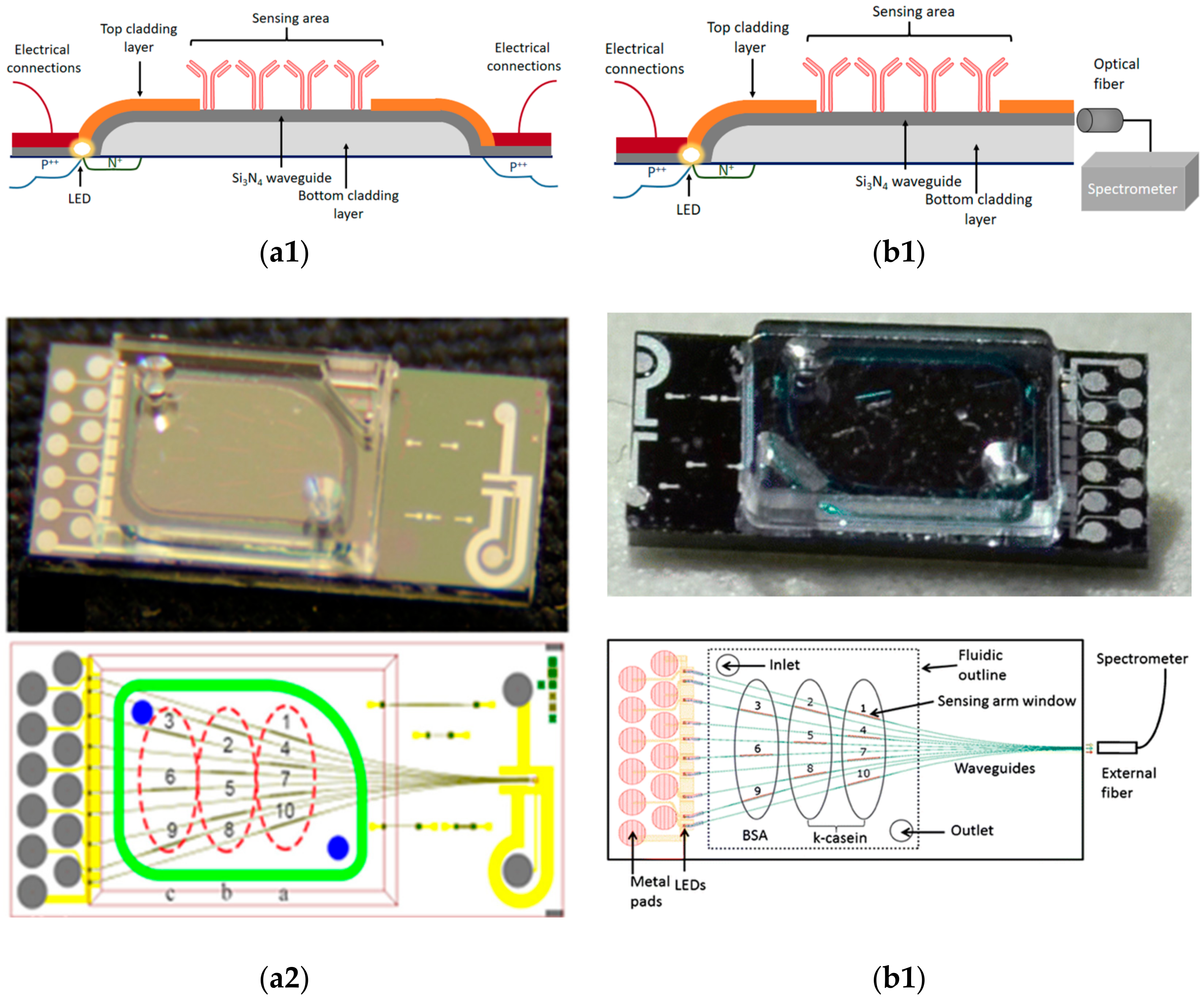 Chemosensors 06 00052 g016