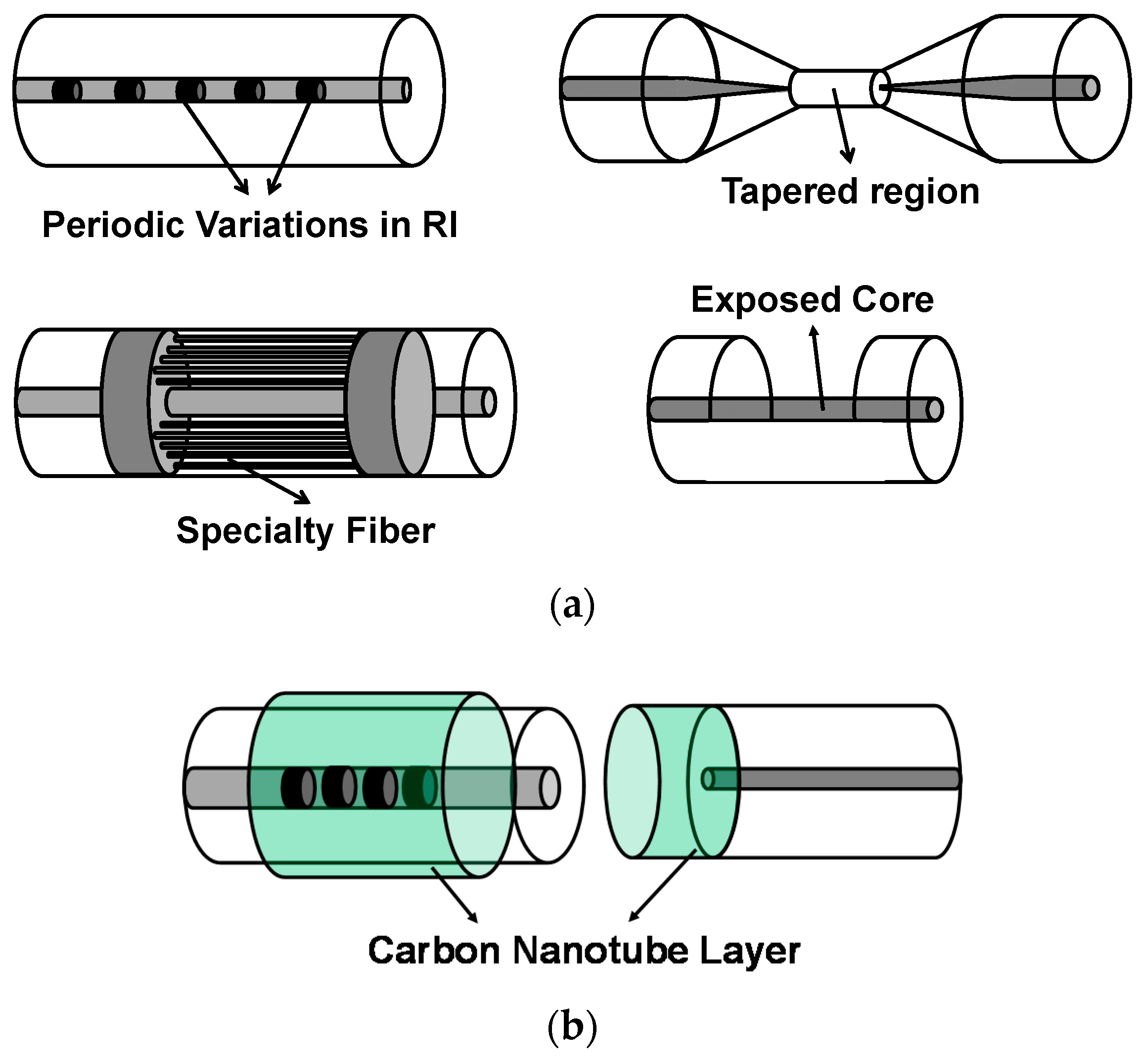 Chemosensors 06 00055 g001
