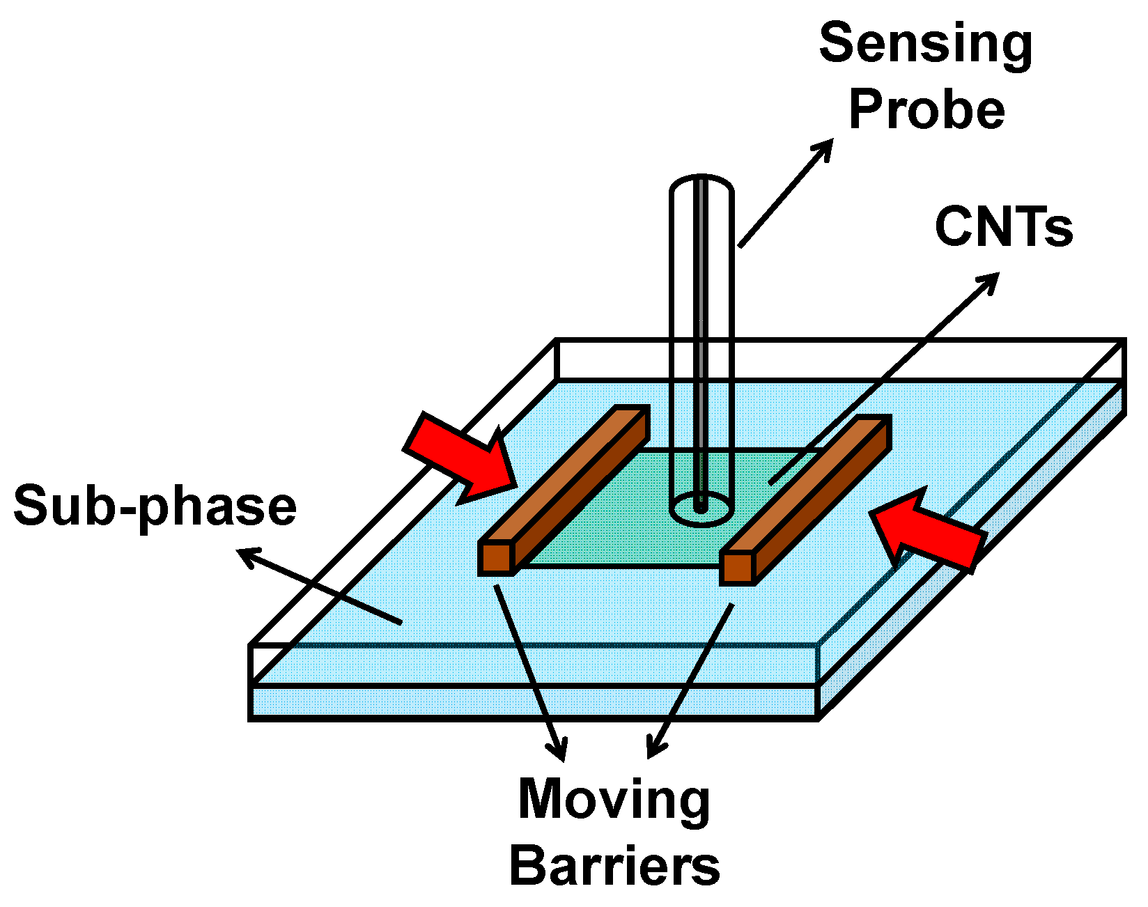 Chemosensors 06 00055 g003