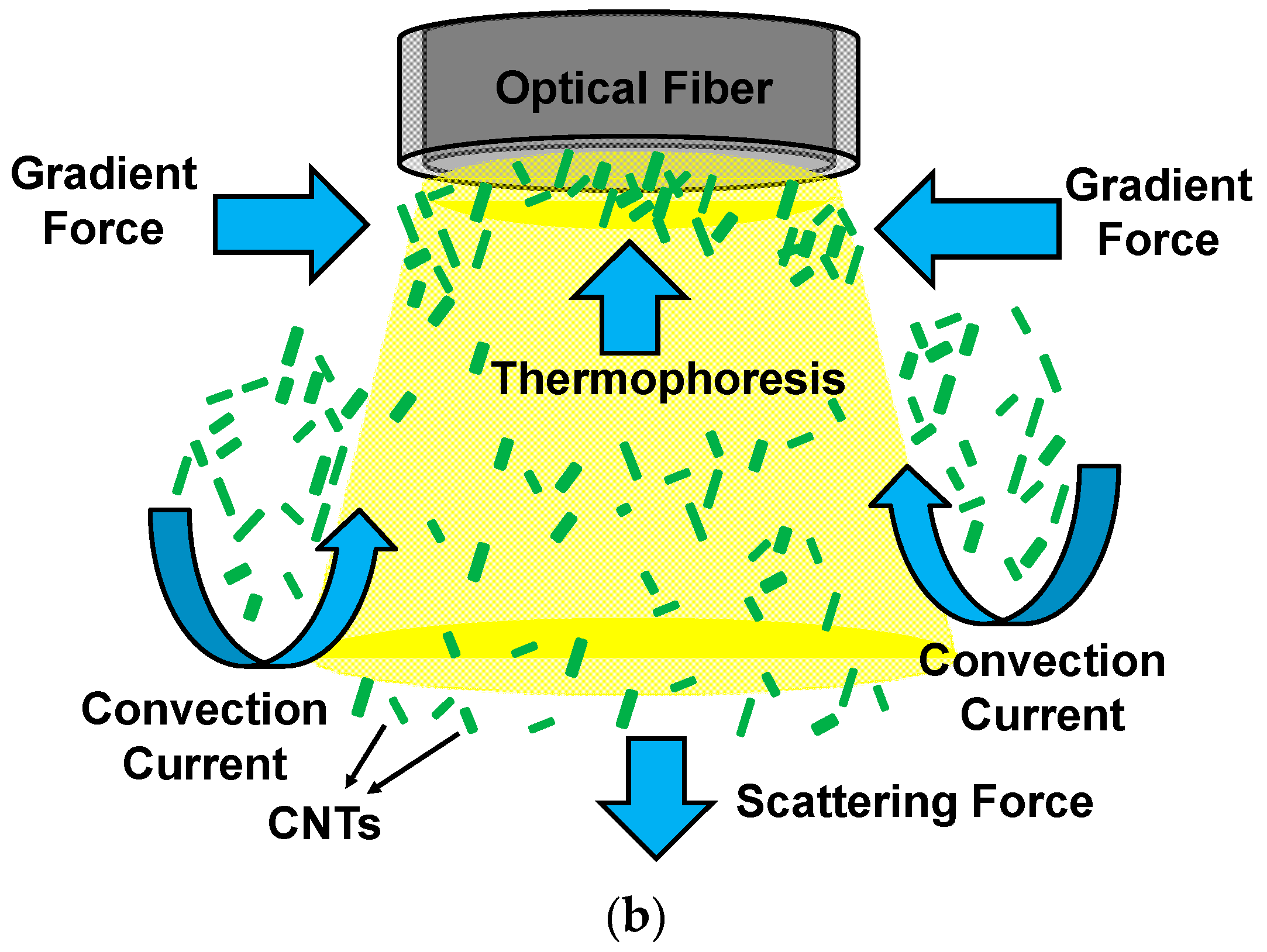 Chemosensors 06 00055 g004b