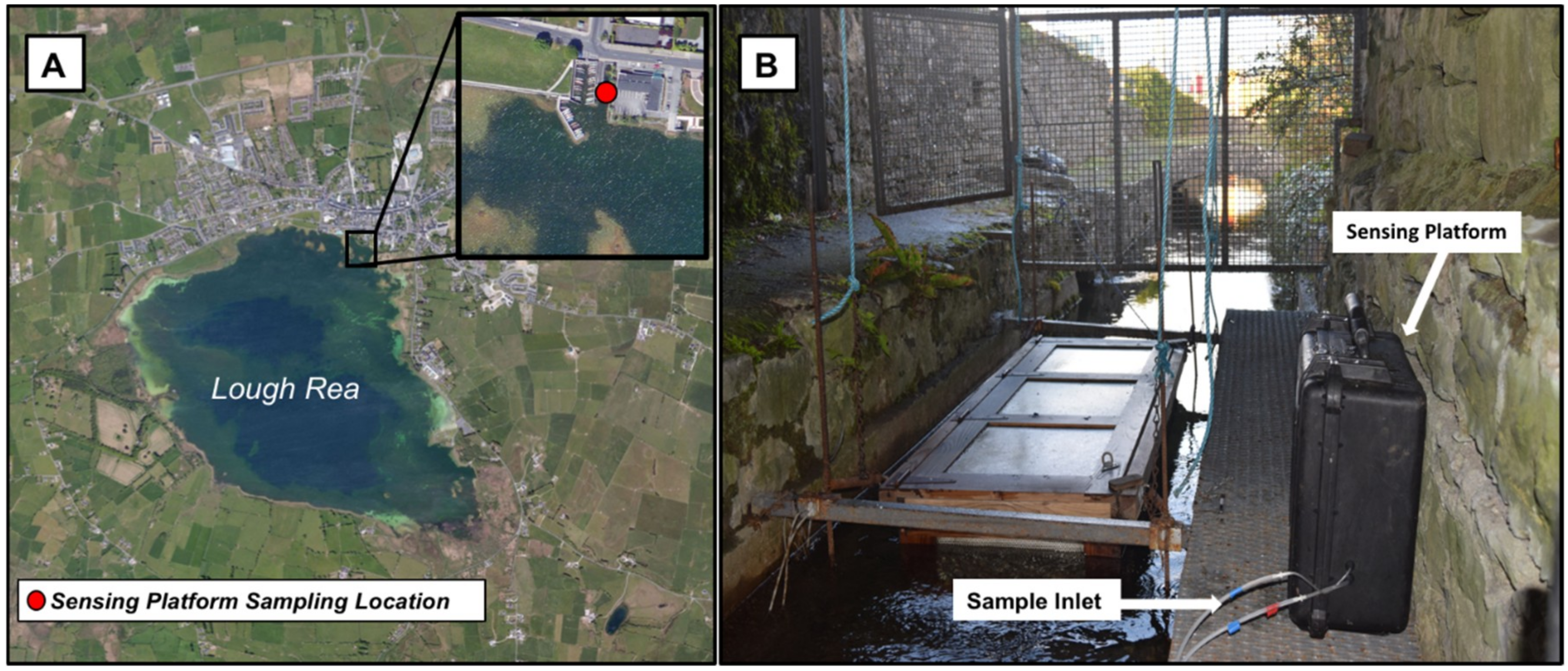 Chemosensors 06 00057 g004