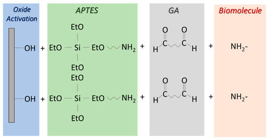 Chemosensors 06 00059 g0a1 550