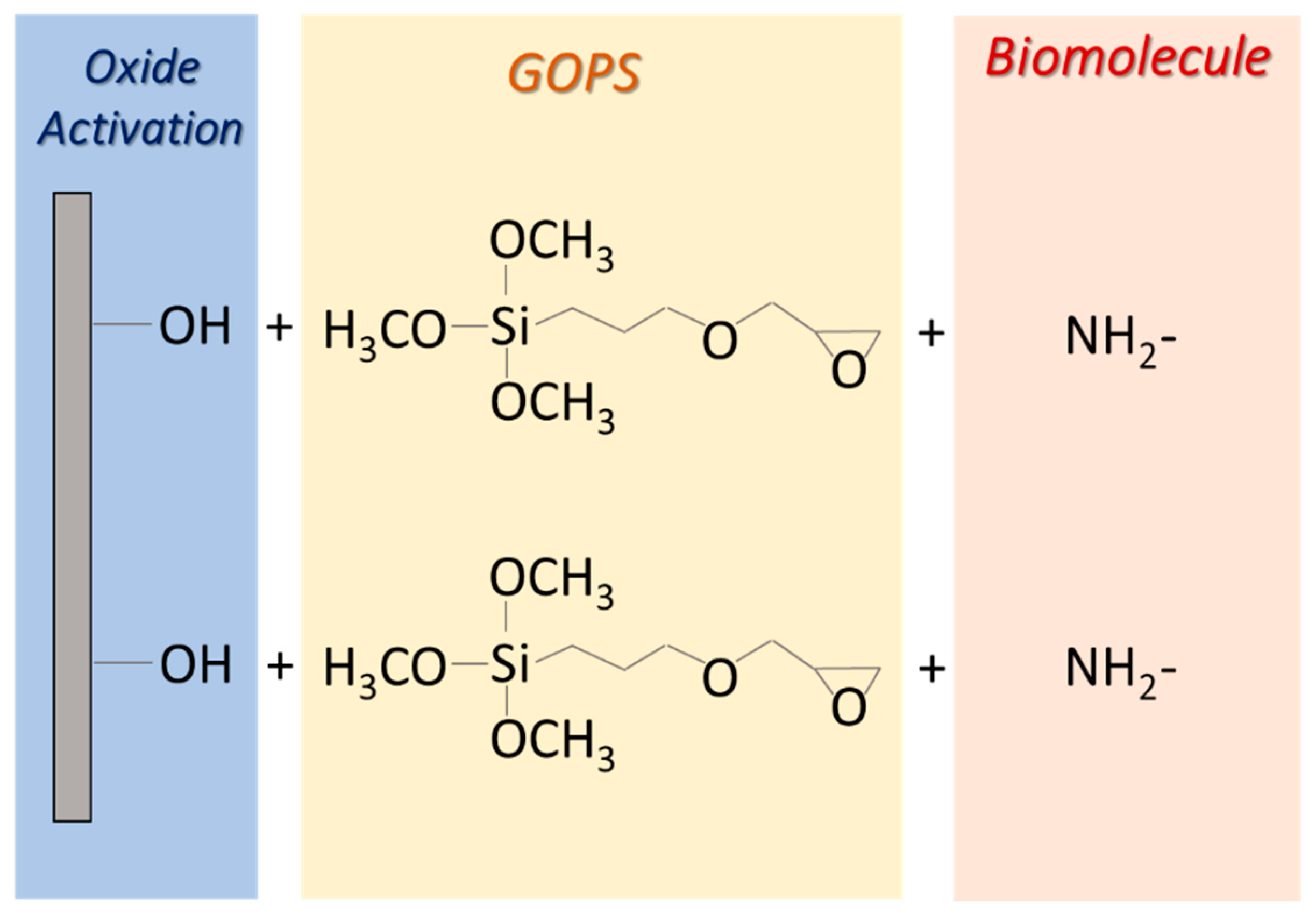 Chemosensors 06 00059 g0a2