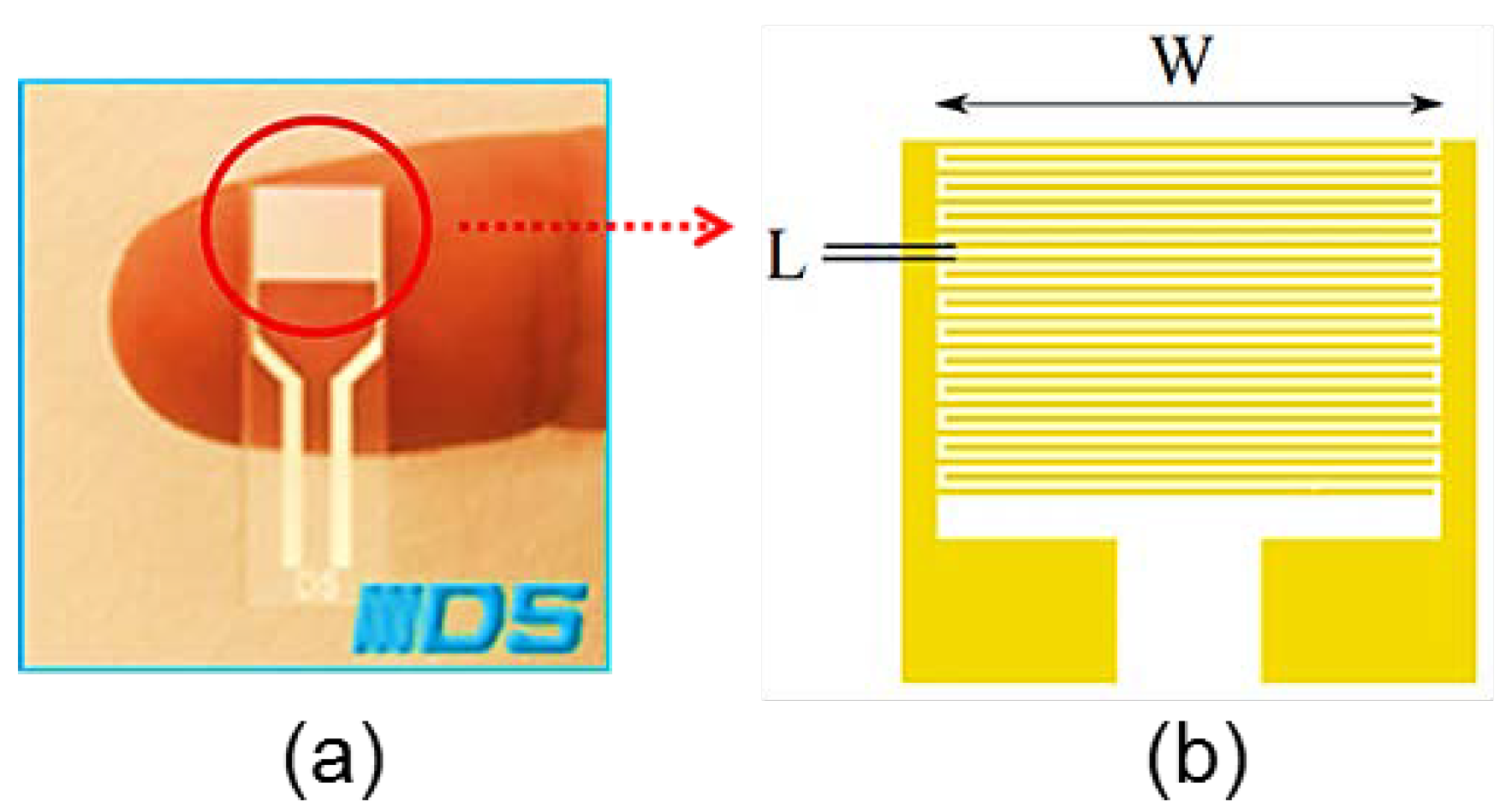 Chemosensors 06 00063 g001