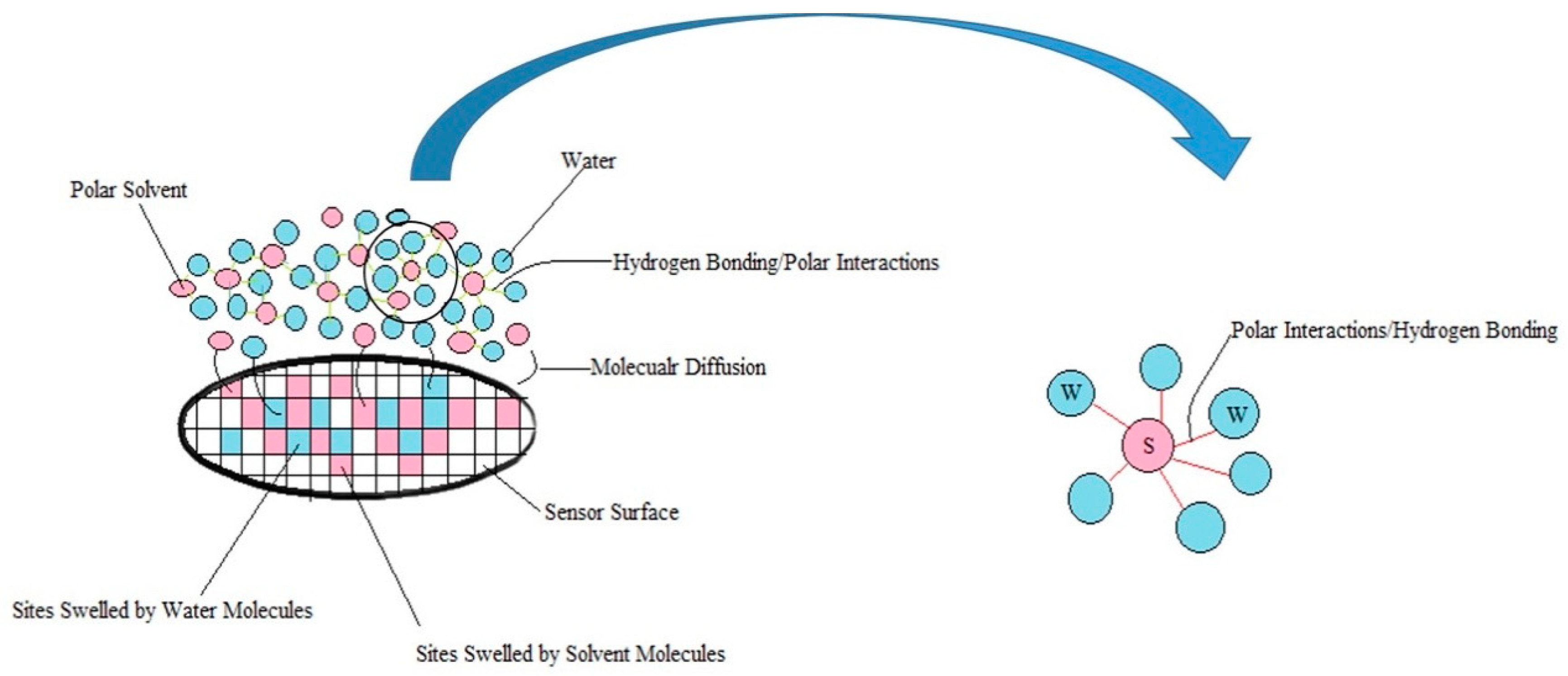 Chemosensors 06 00064 g010 Chemosensors 06 00064 g010