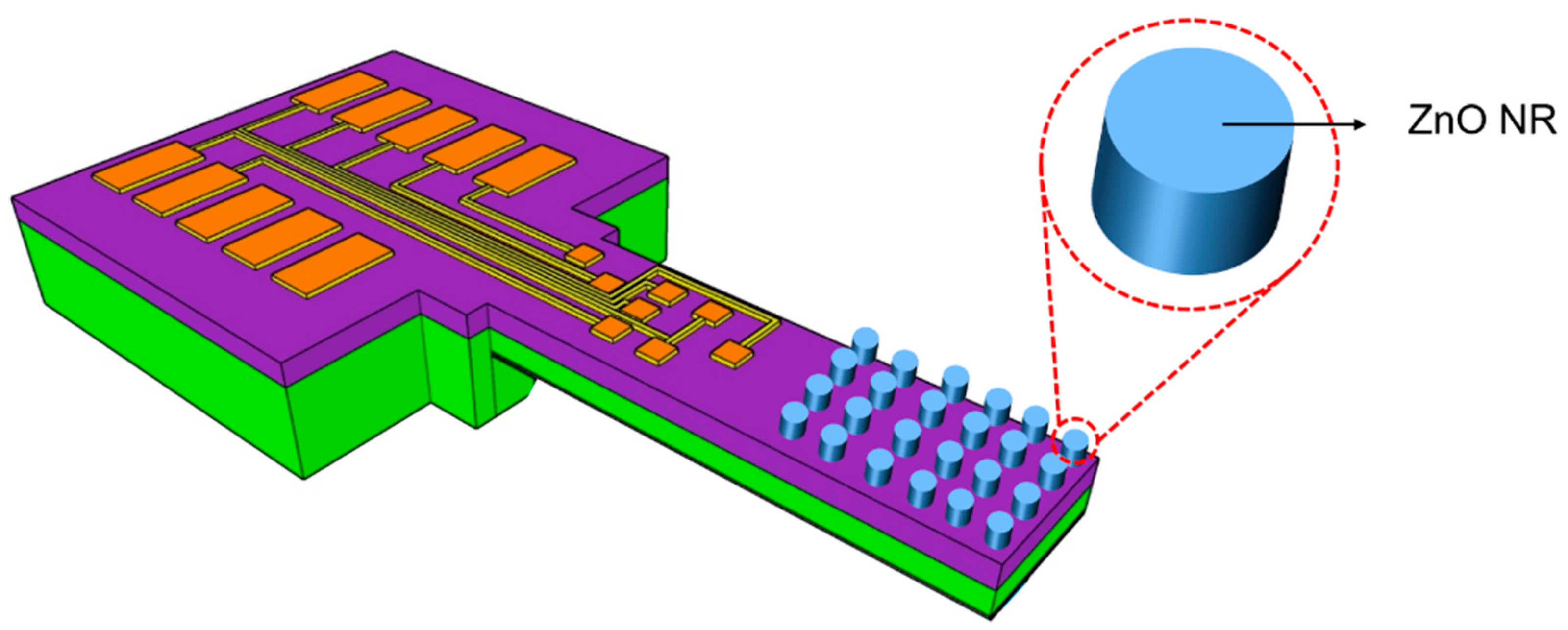 Chemosensors 07 00002 g001