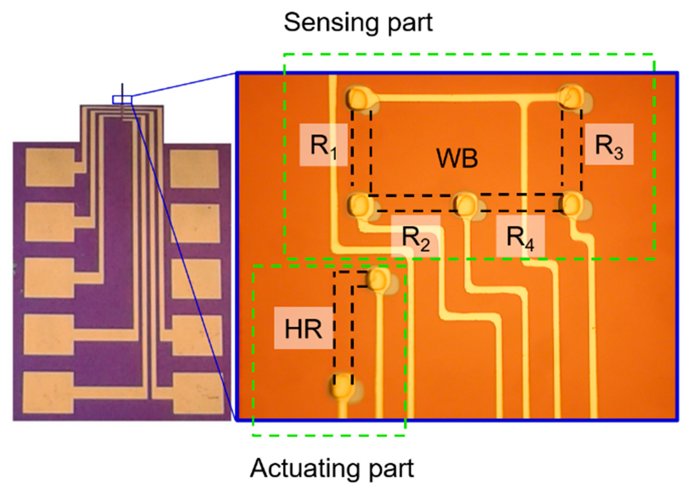 Chemosensors 07 00002 g002