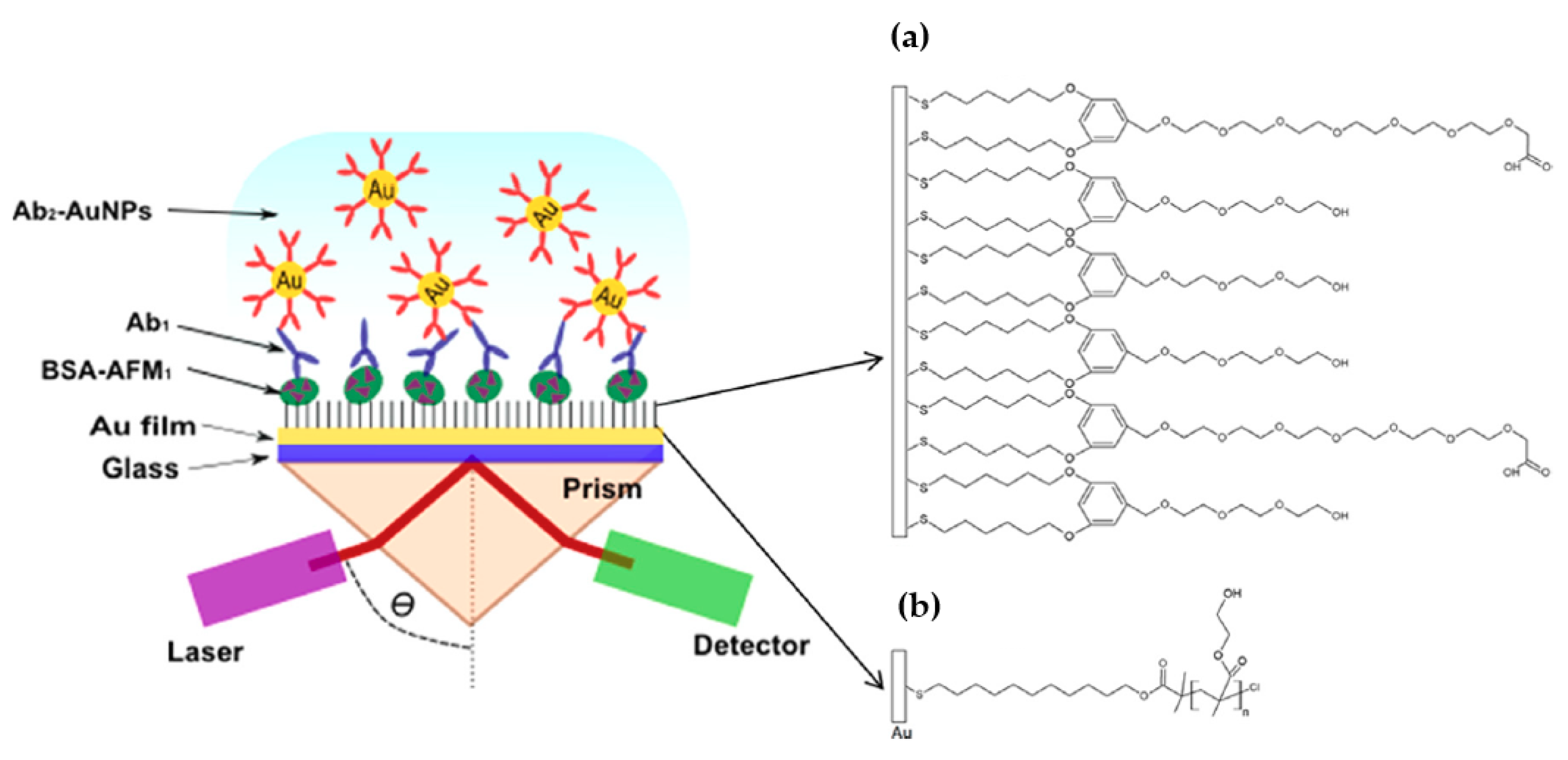 Chemosensors 07 00003 g003