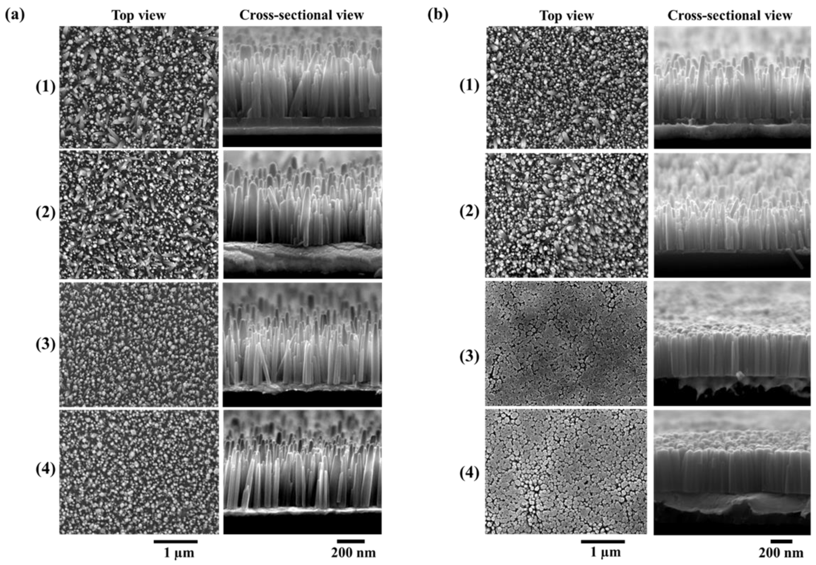 Chemosensors 07 00007 g004
