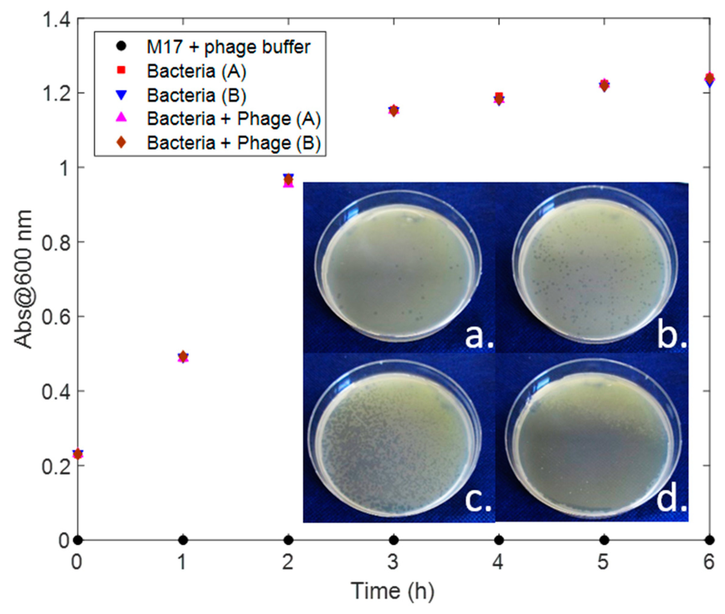 Chemosensors 07 00008 g009
