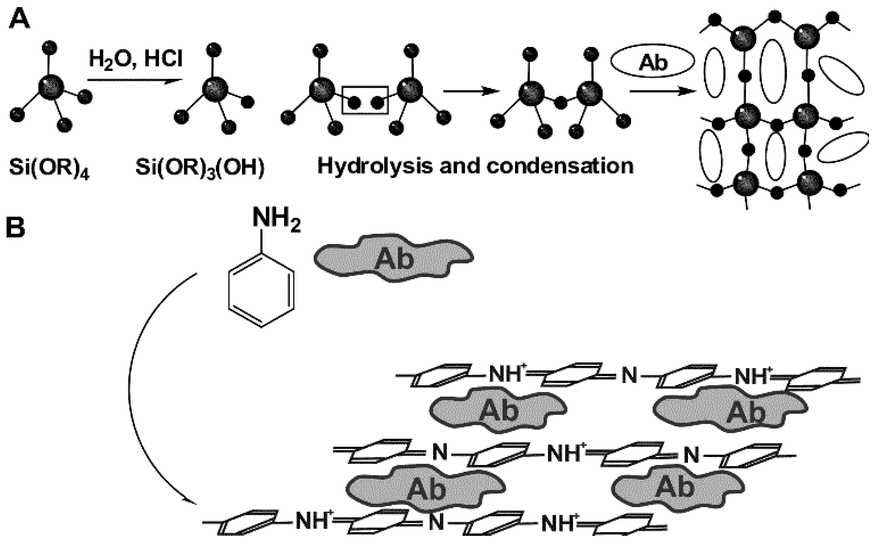 Chemosensors 07 00010 g004 Chemosensors 07 00010 g004