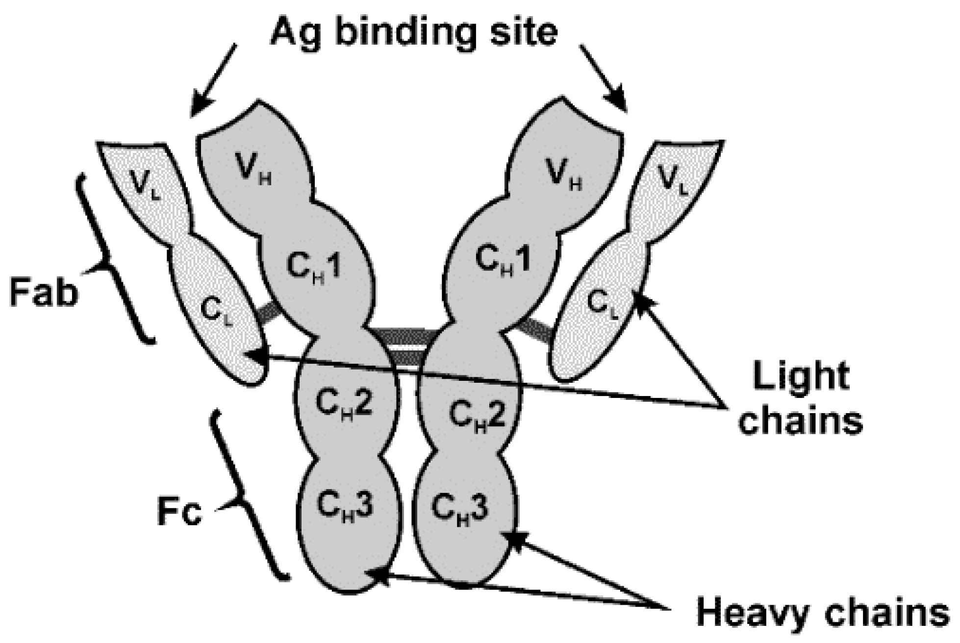 Chemosensors 07 00010 g006 Chemosensors 07 00010 g006