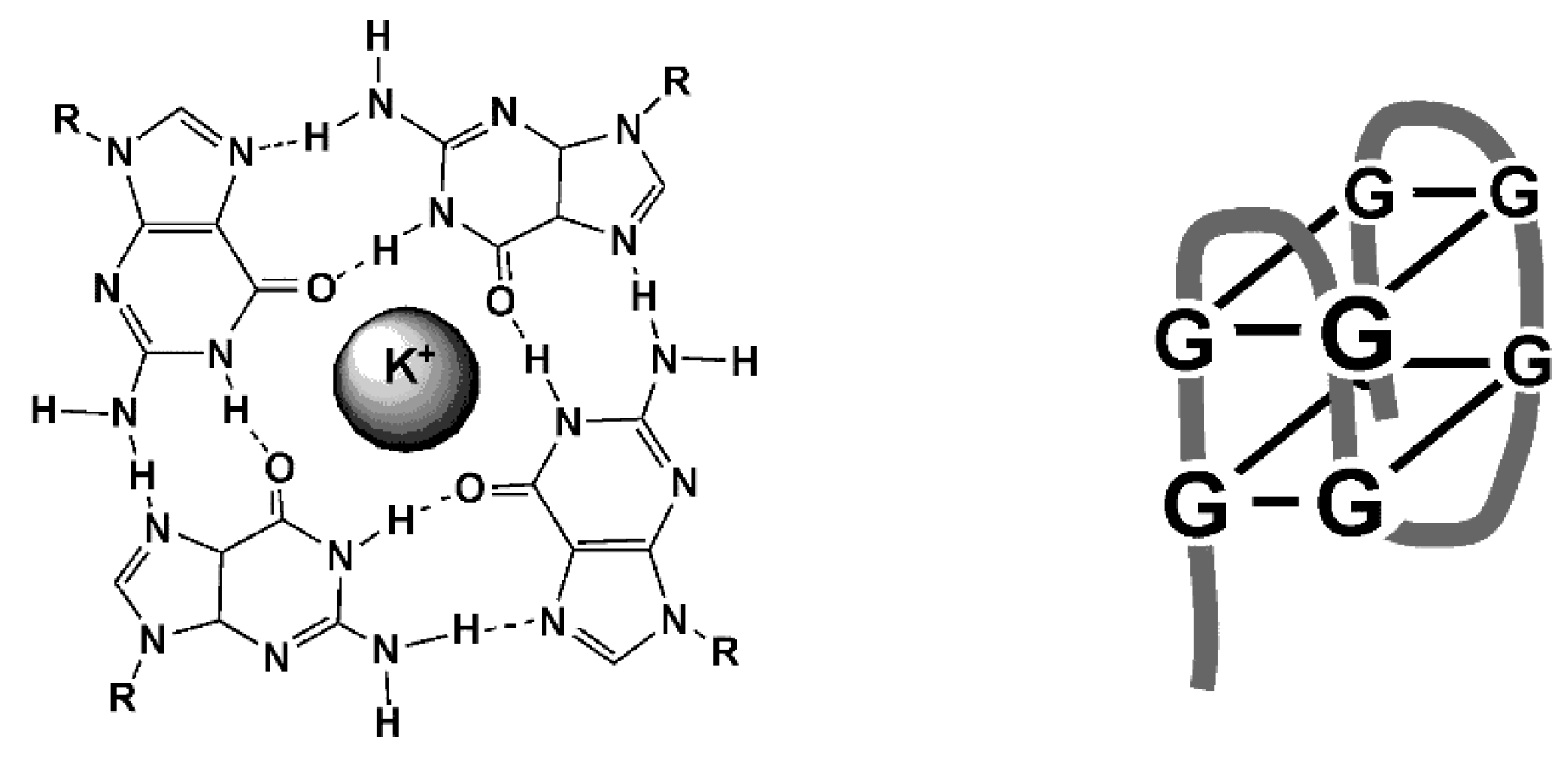 Chemosensors 07 00010 g009 Chemosensors 07 00010 g009