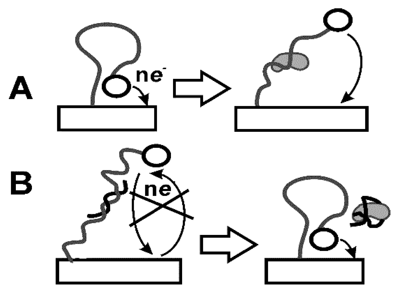 Chemosensors 07 00010 g010 Chemosensors 07 00010 g010