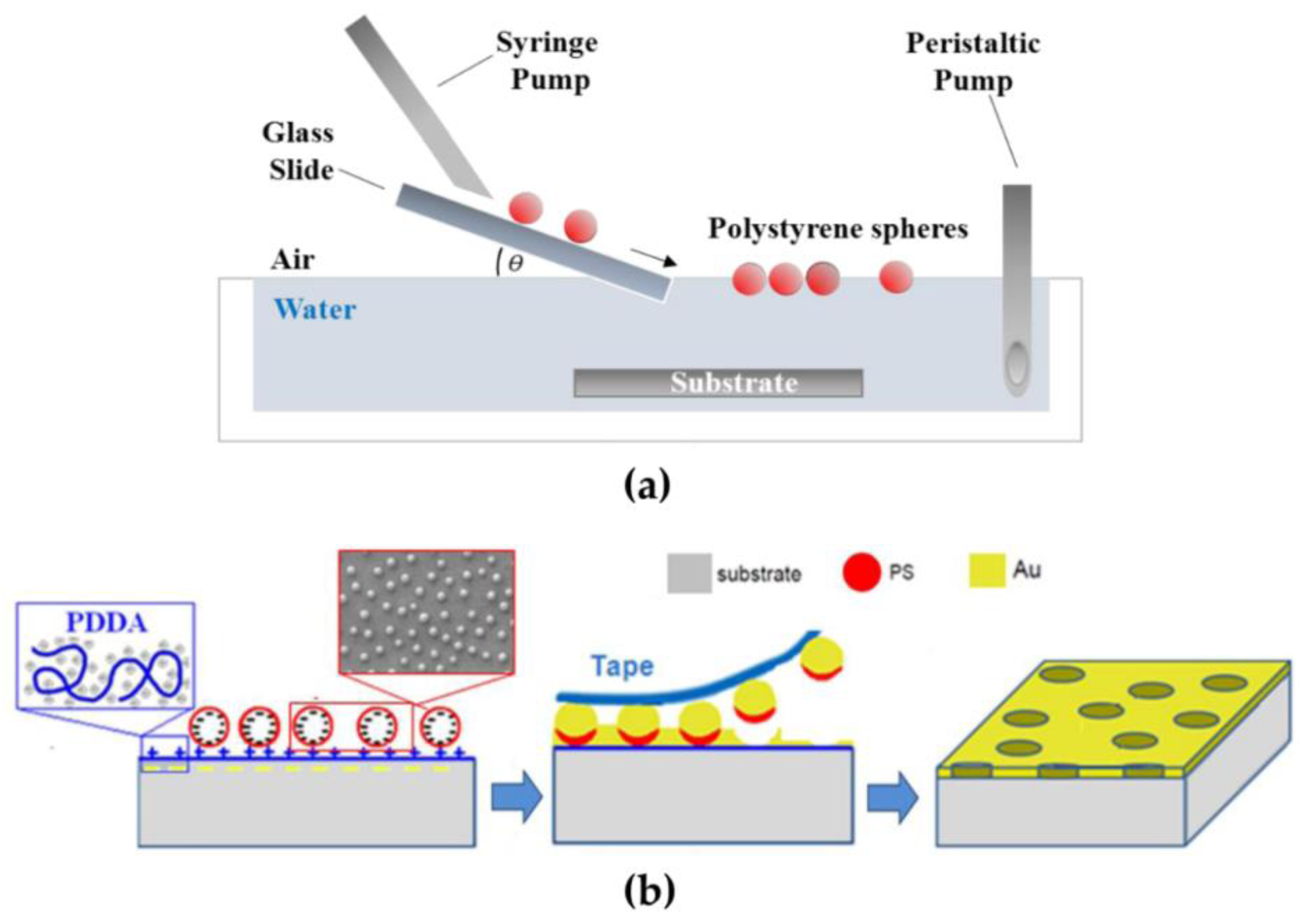 Chemosensors 07 00013 g001