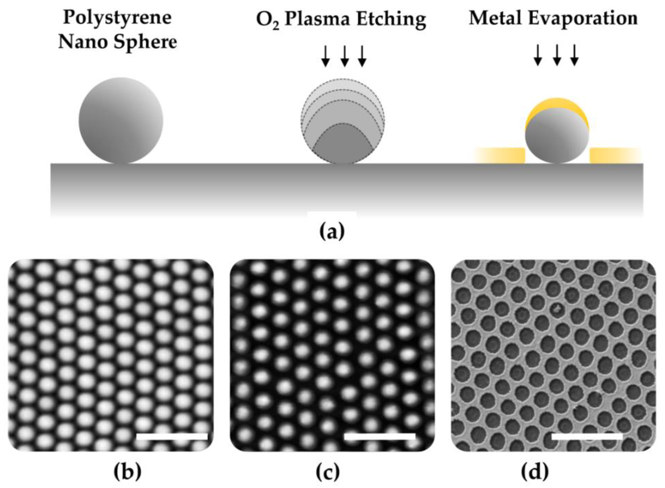 Chemosensors 07 00013 g002