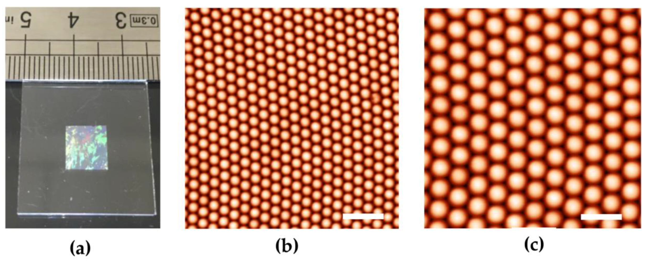 Chemosensors 07 00013 g003
