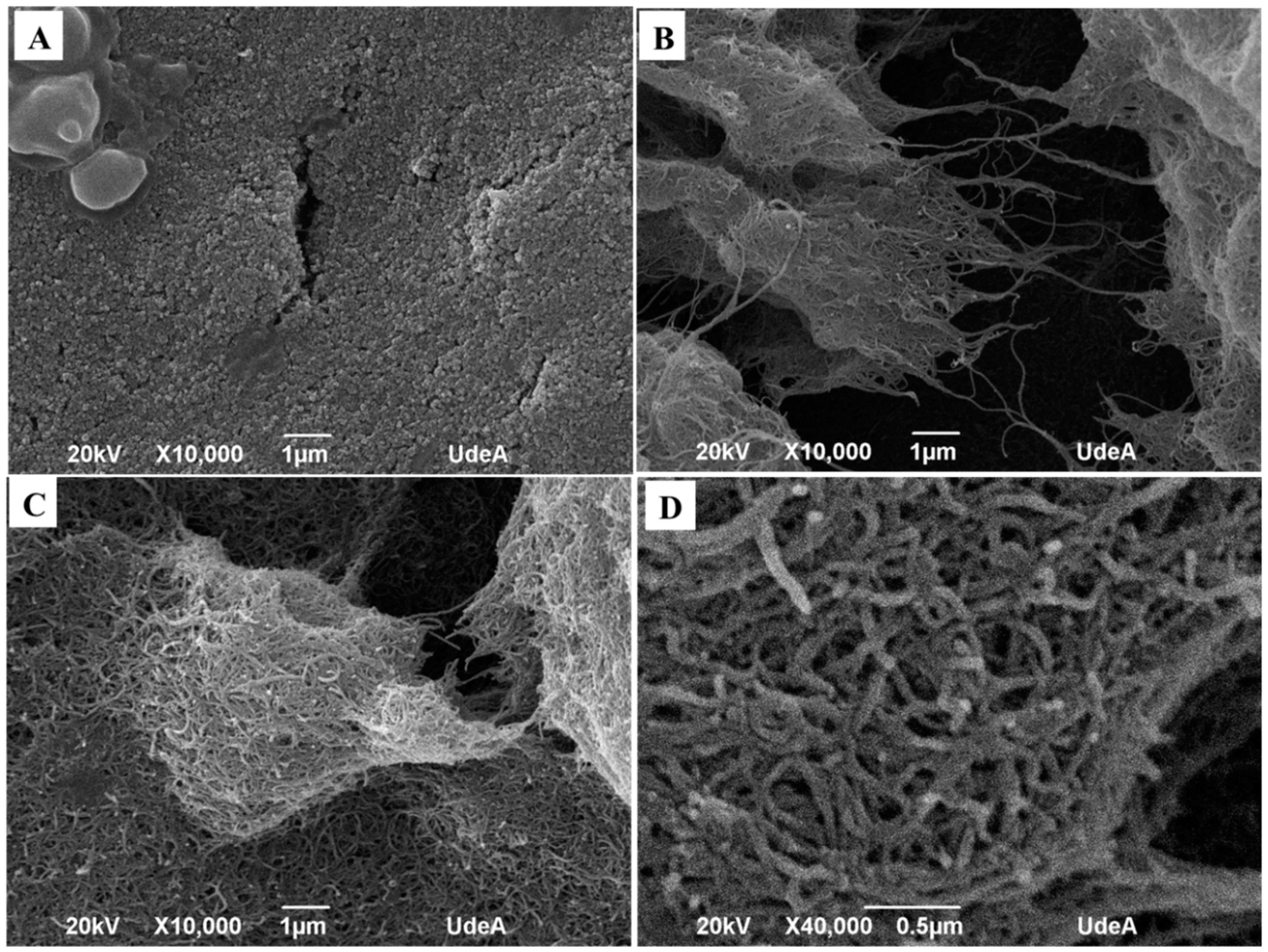 Chemosensors 07 00014 g001