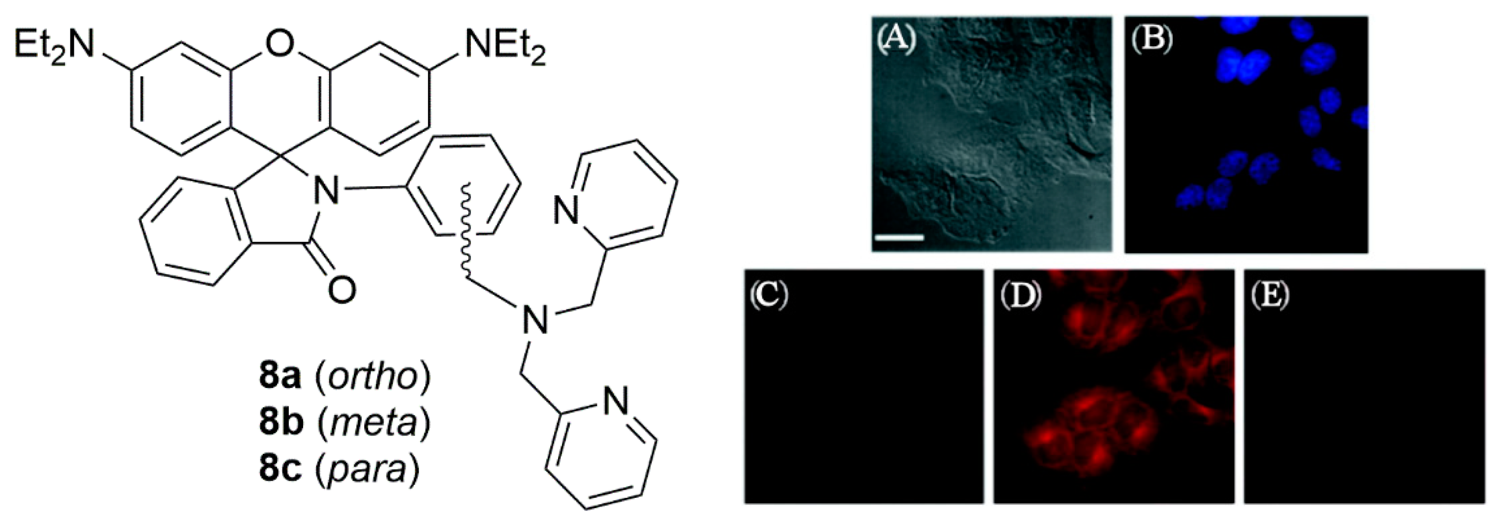 Chemosensors 07 00022 g003