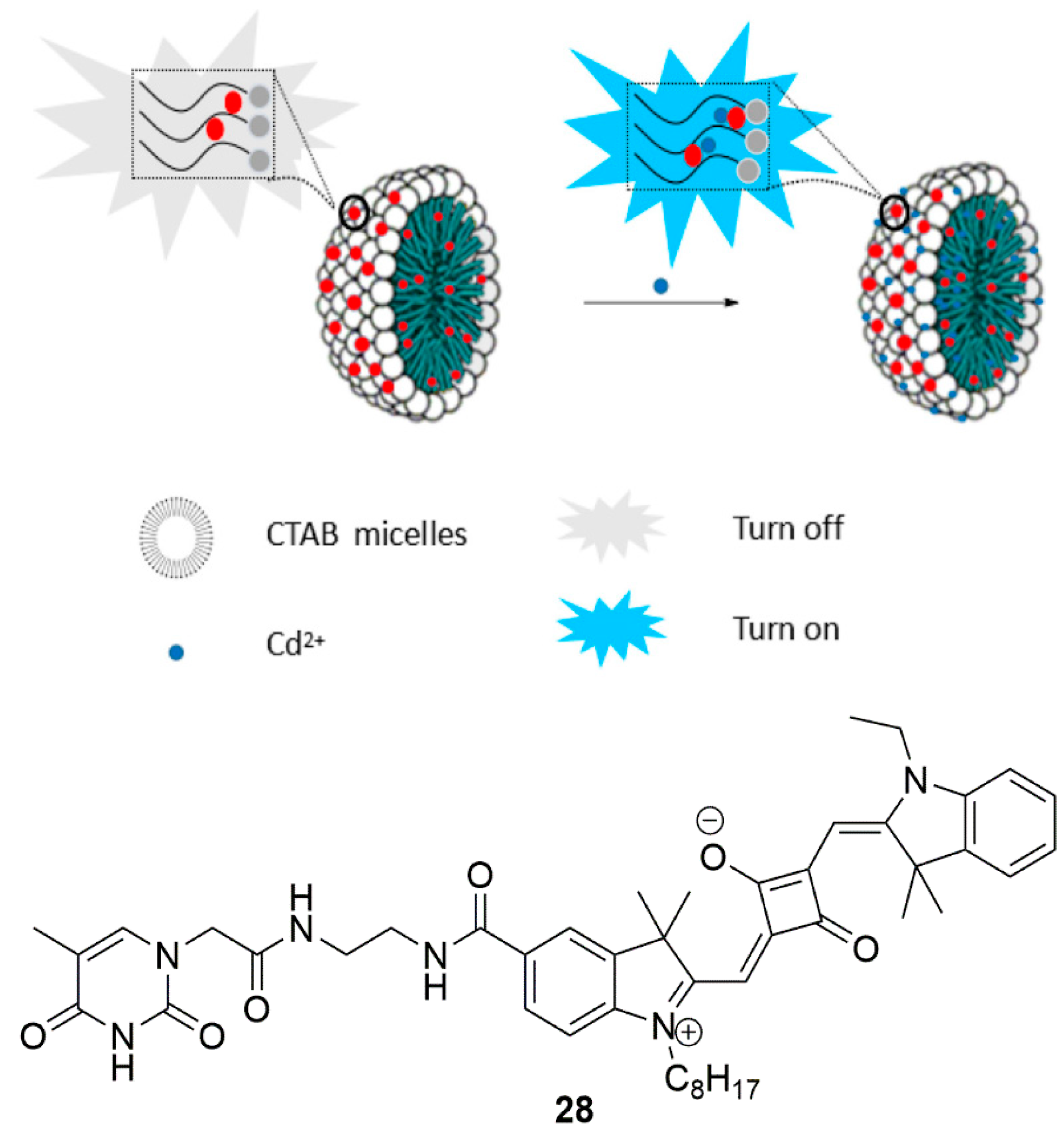 Chemosensors 07 00022 g011