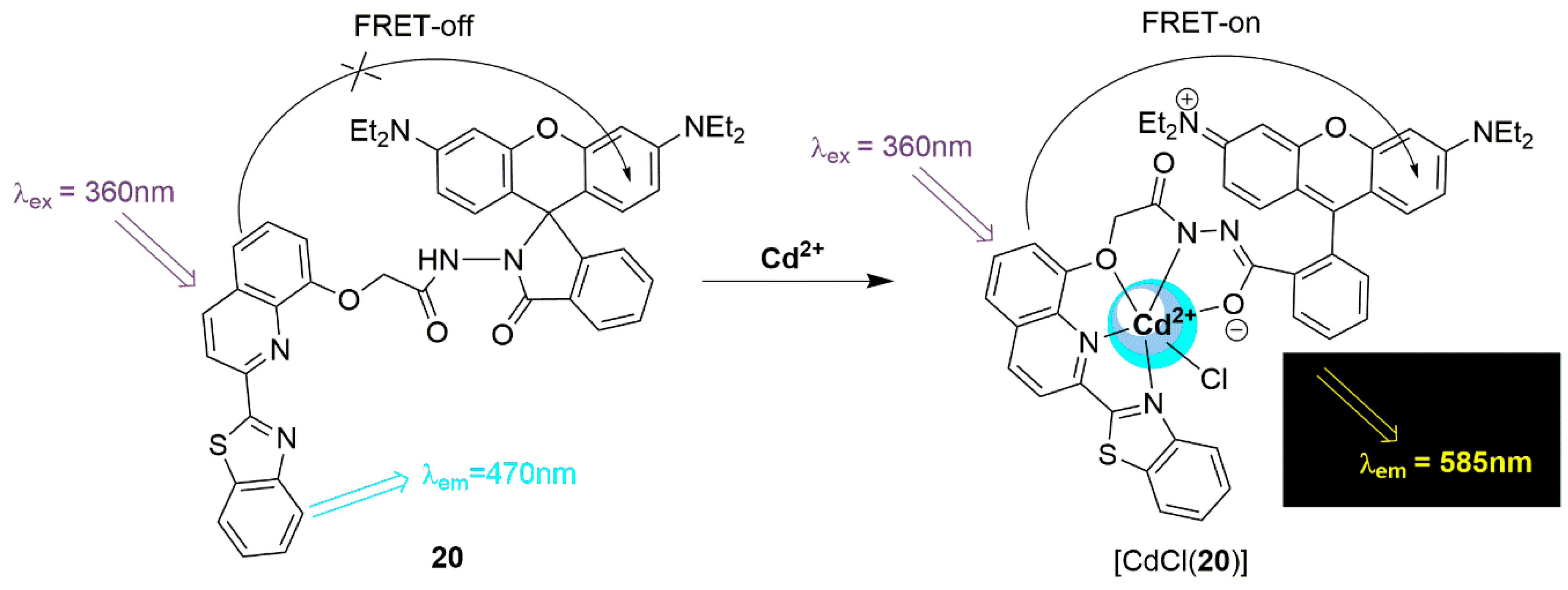 Chemosensors 07 00022 sch007