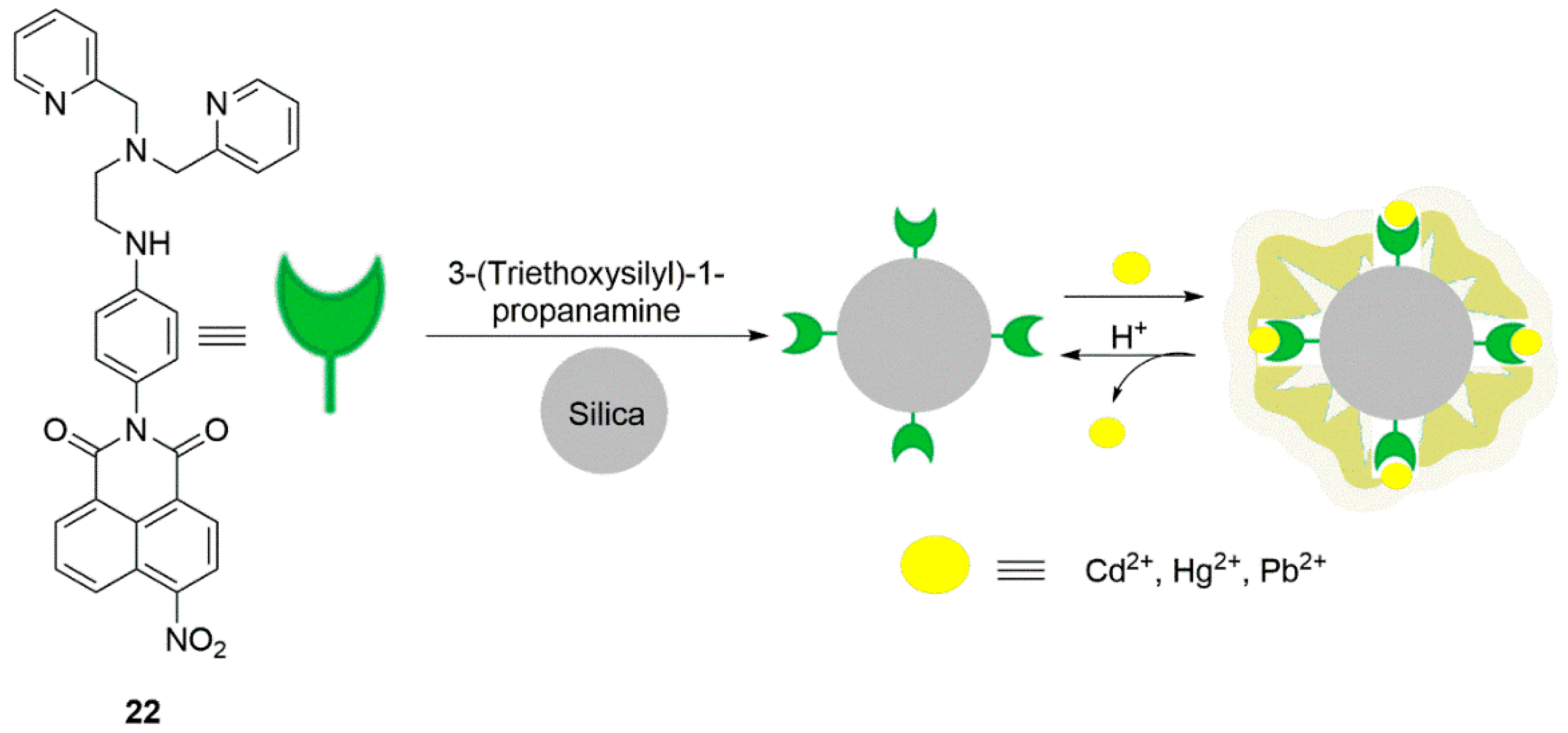 Chemosensors 07 00022 sch008