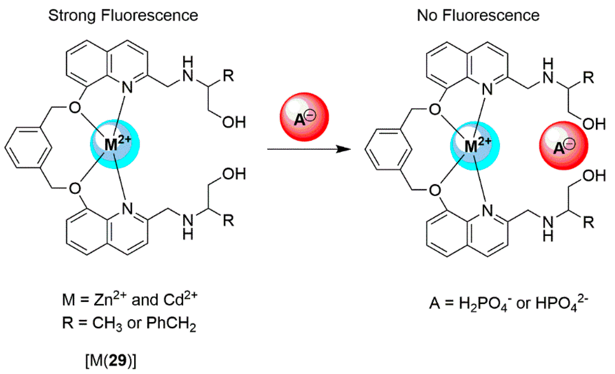 Chemosensors 07 00022 sch012