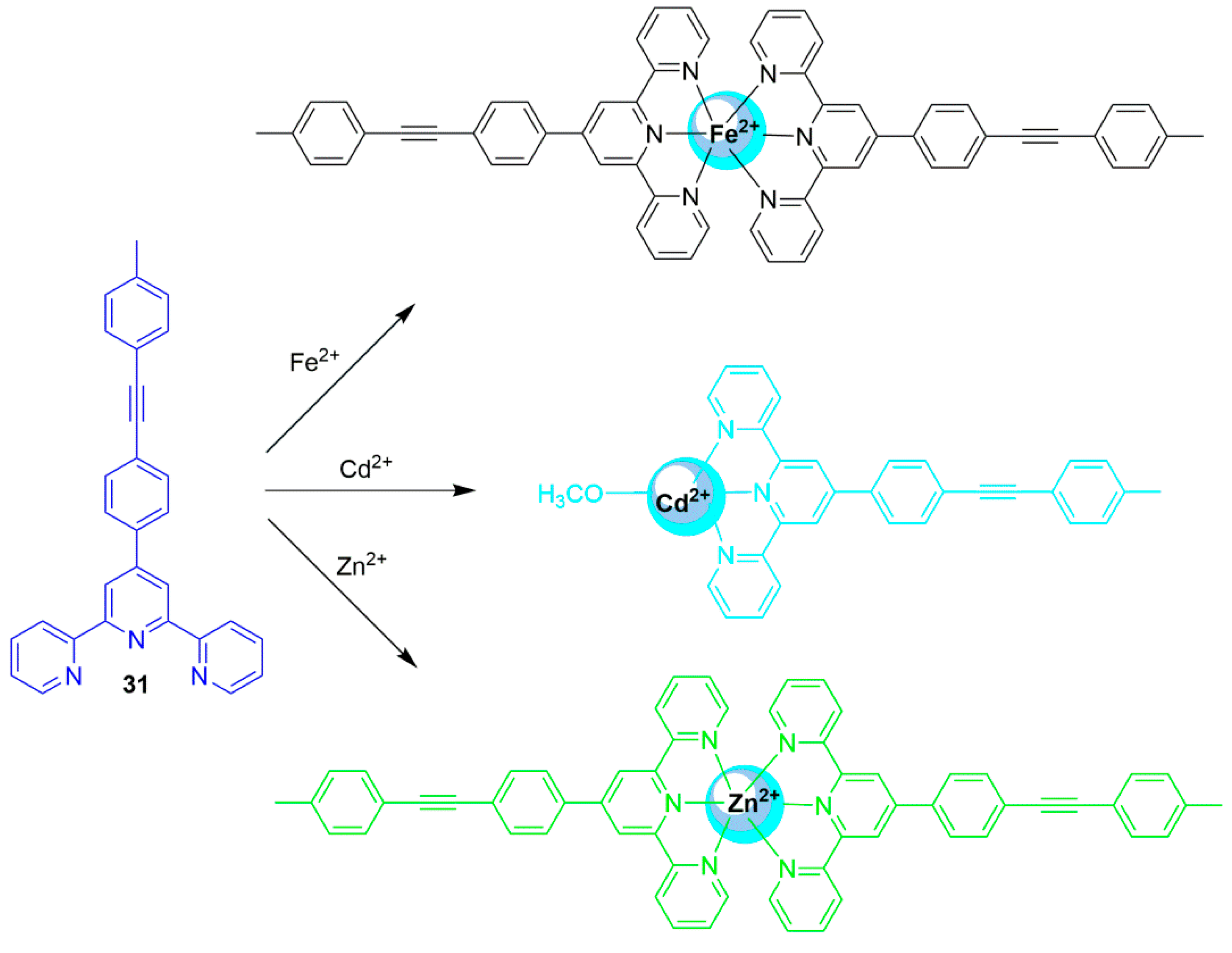 Chemosensors 07 00022 sch013