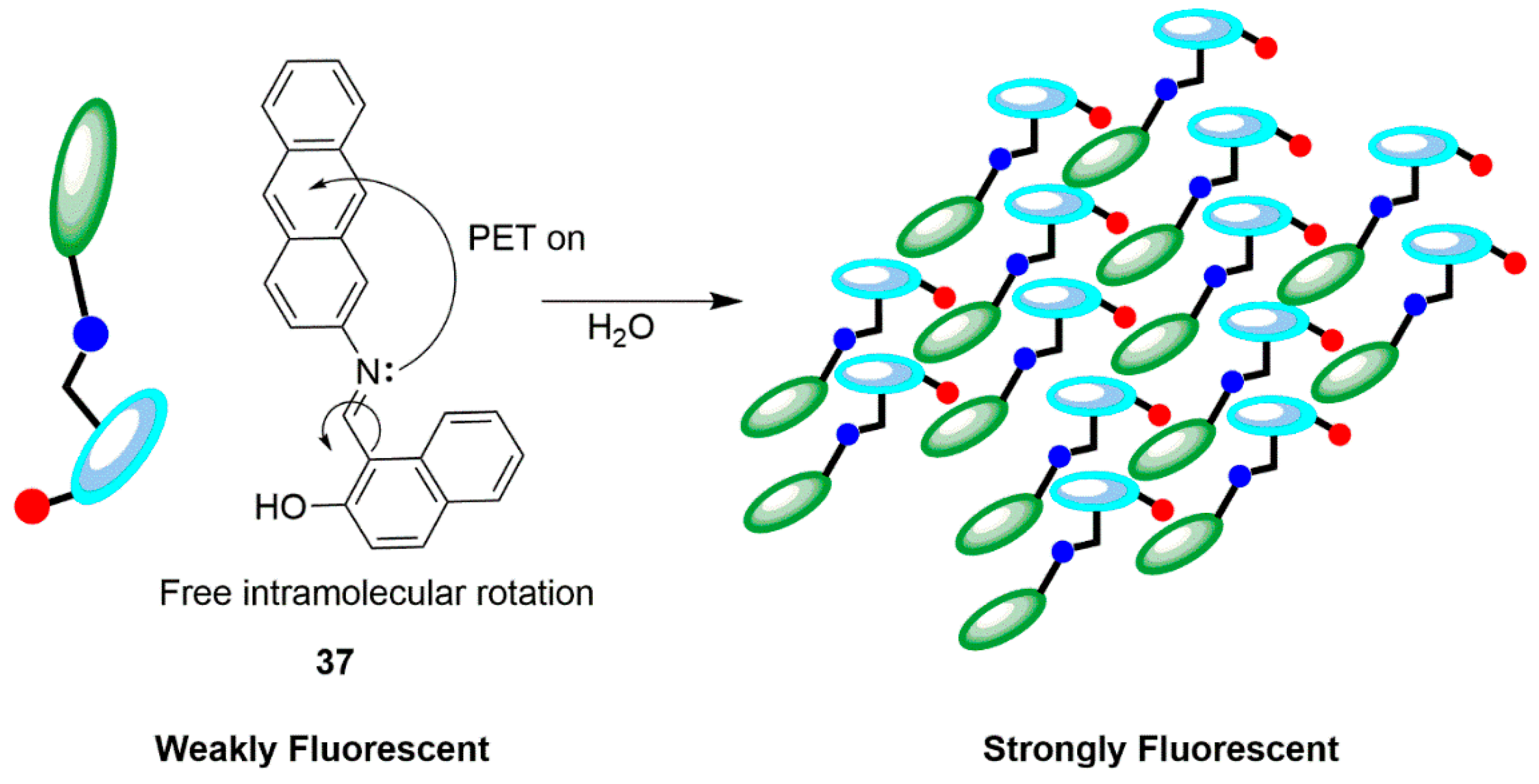Chemosensors 07 00022 sch015