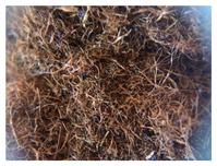 Chemosensors 07 00029 i007