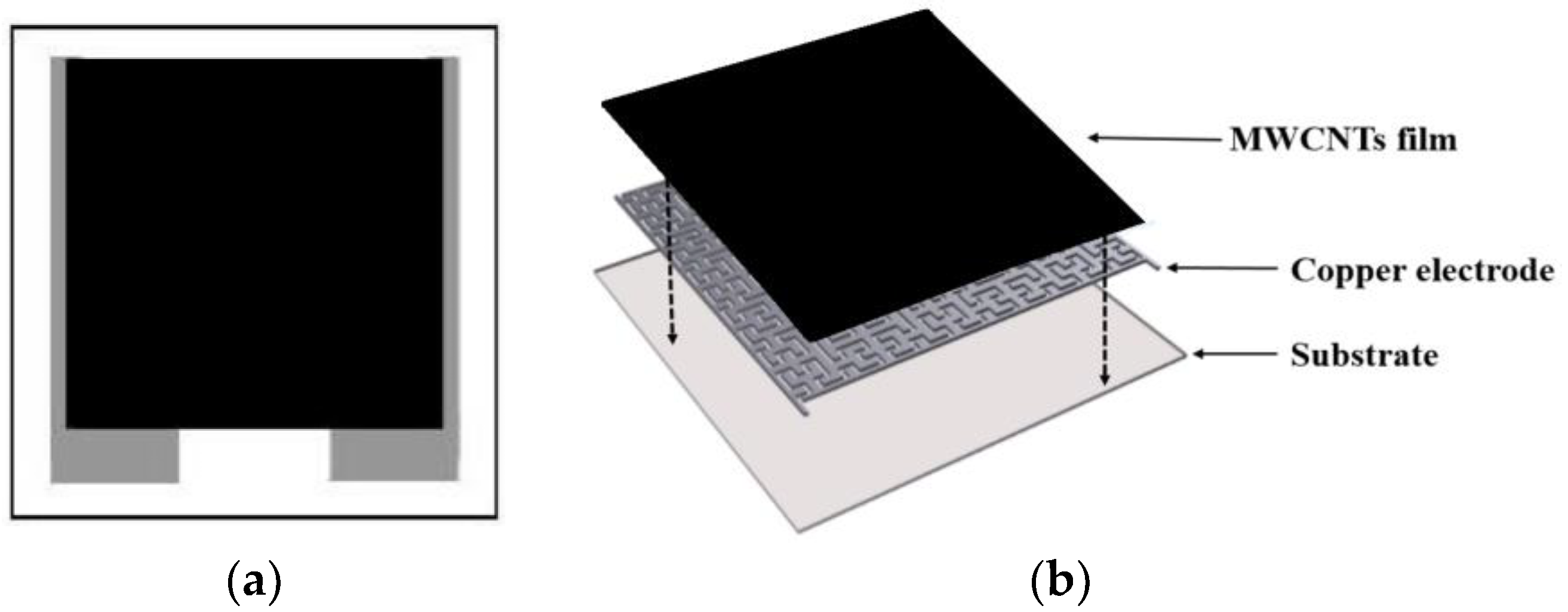 Chemosensors 07 00031 g005