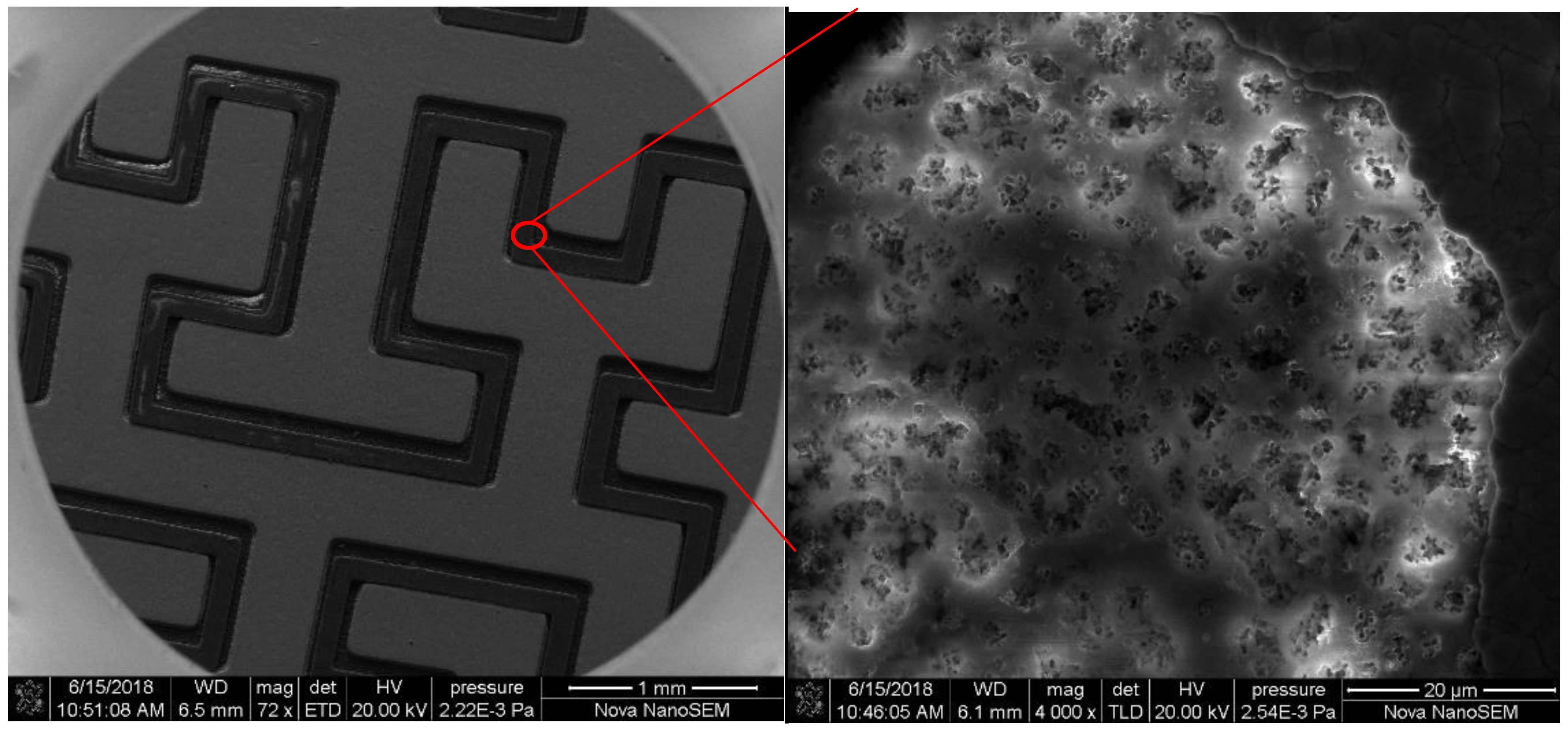 Chemosensors 07 00031 g009