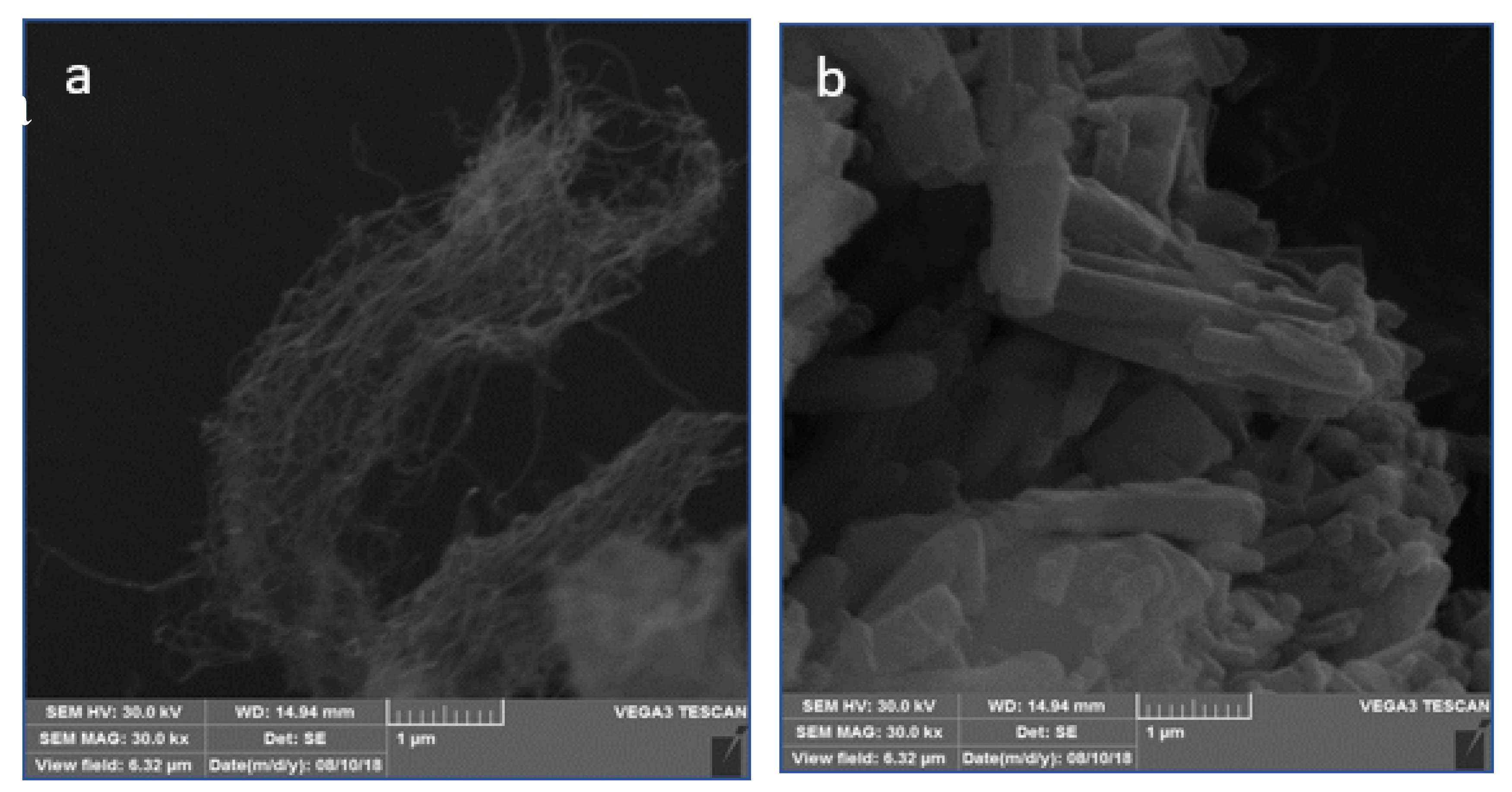 Chemosensors 07 00032 g006a