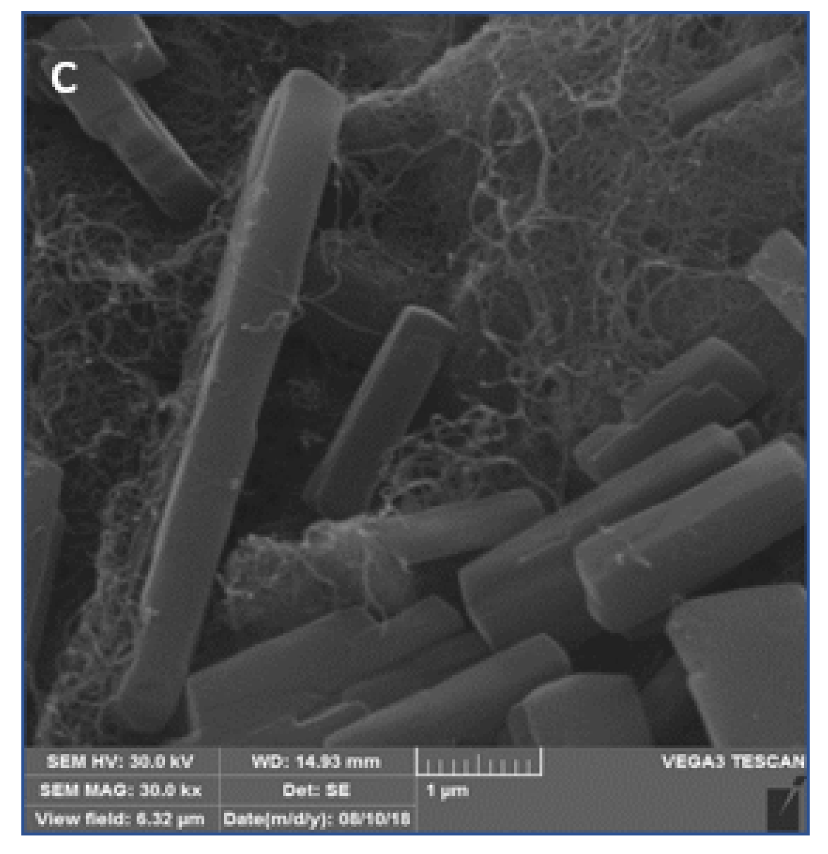 Chemosensors 07 00032 g006b