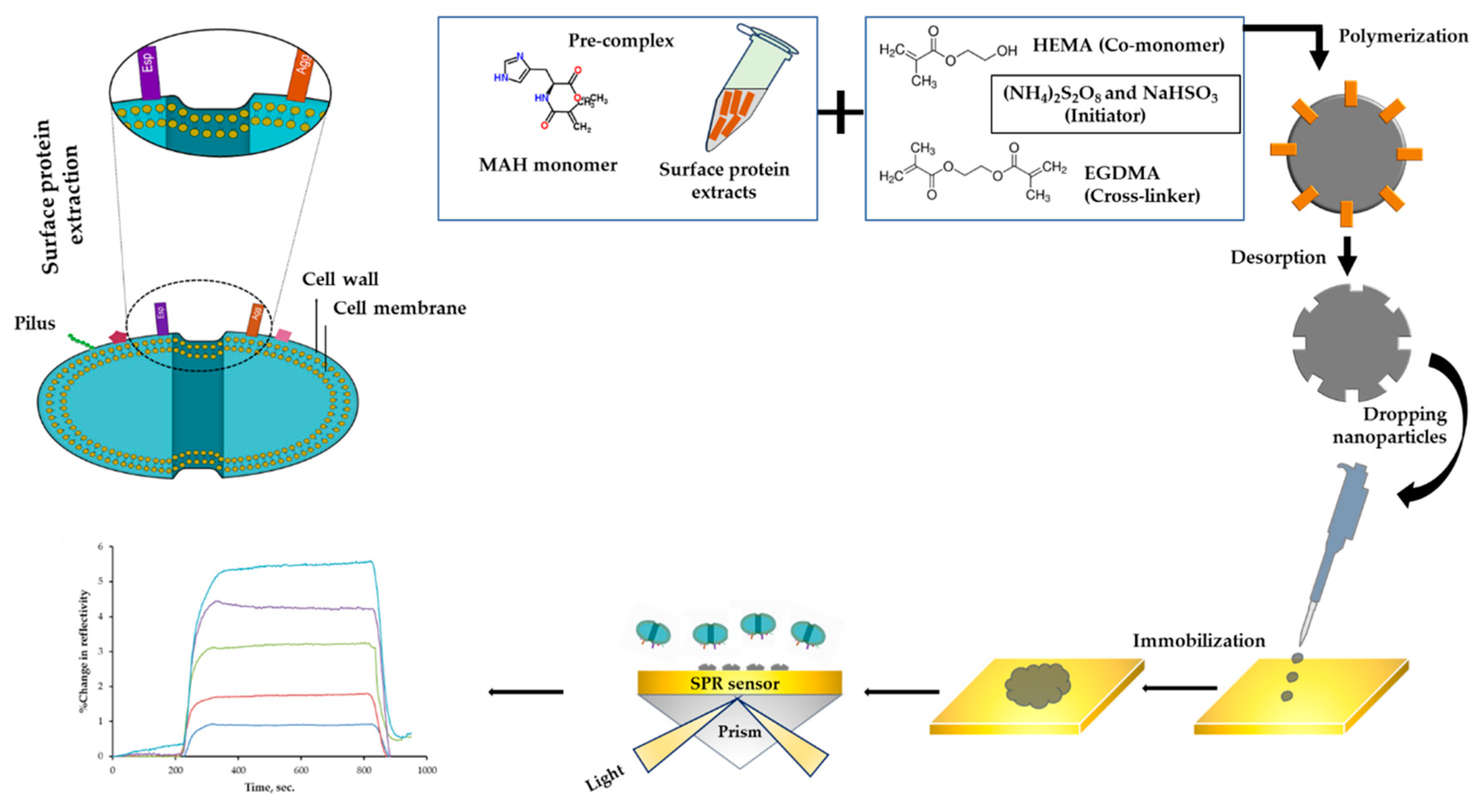 Chemosensors 07 00033 g001