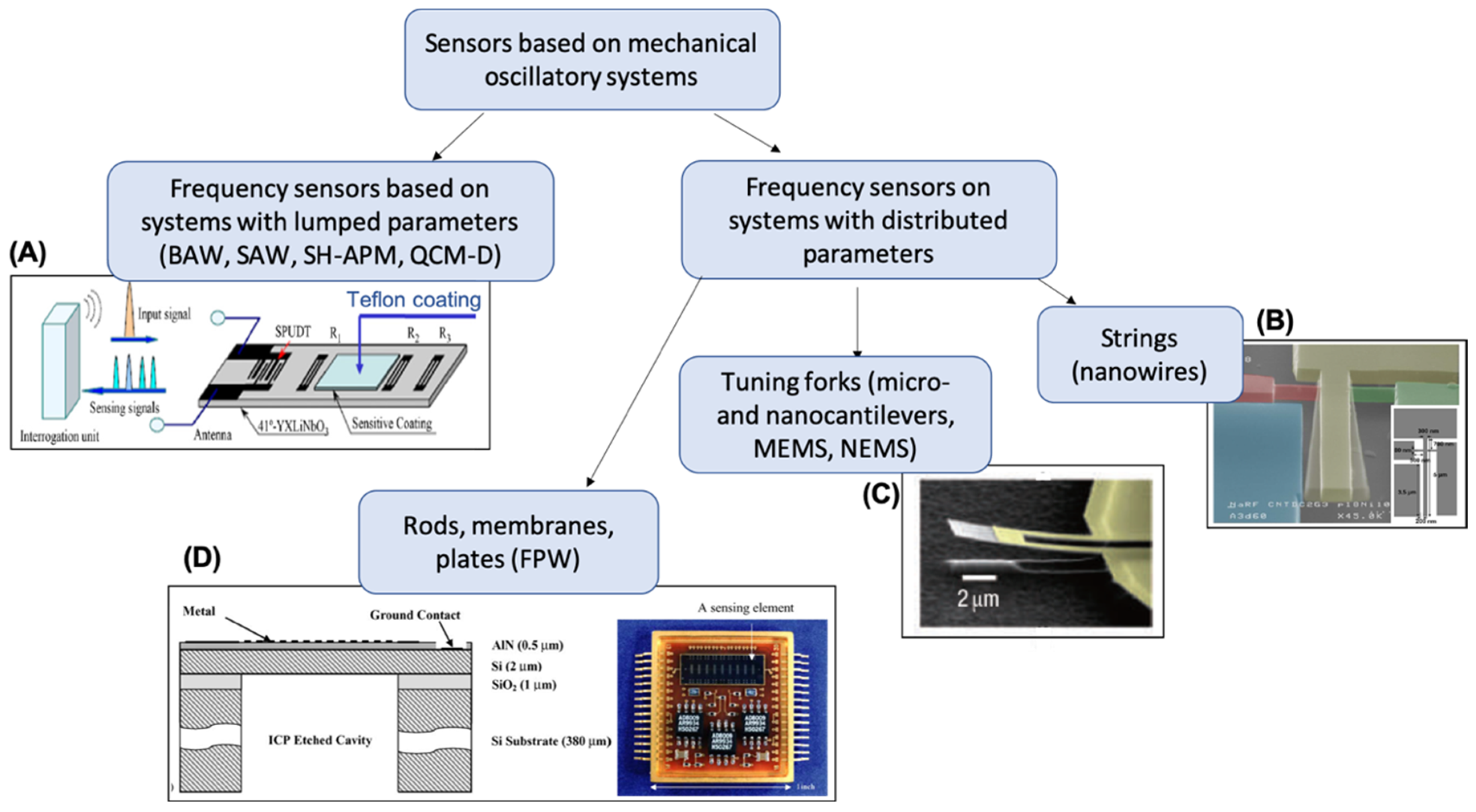 Chemosensors 07 00039 g001