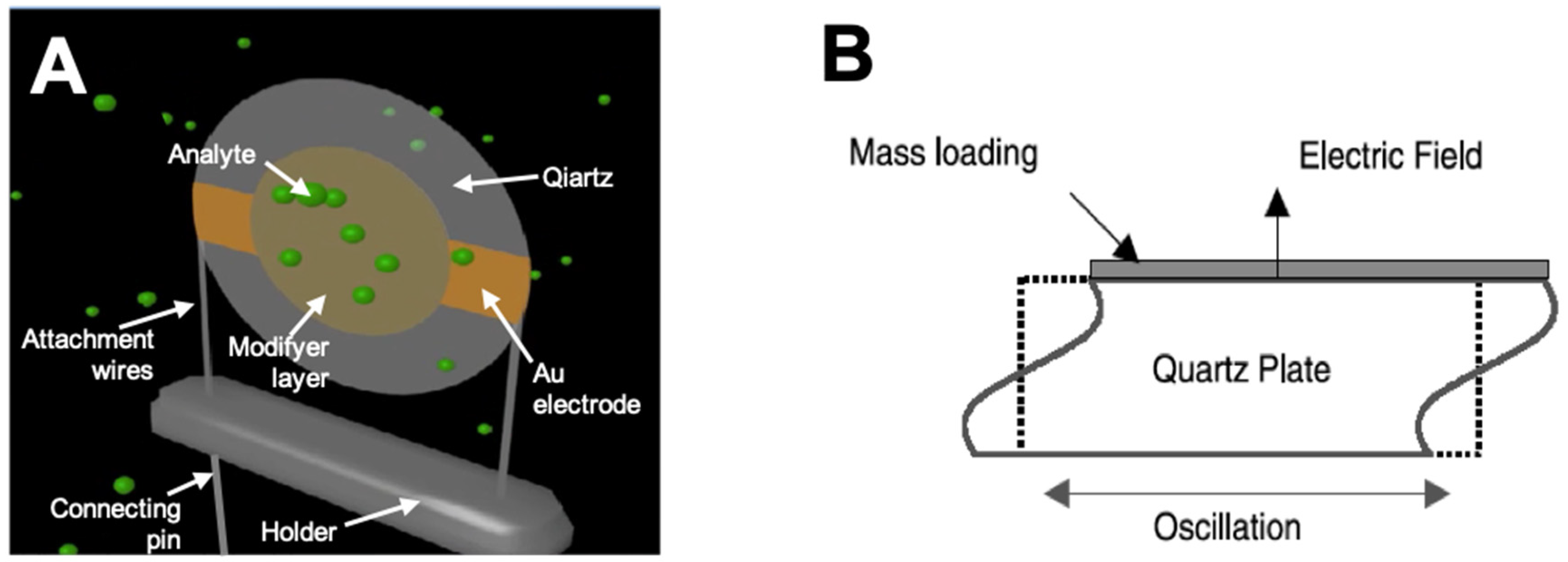 Chemosensors 07 00039 g002