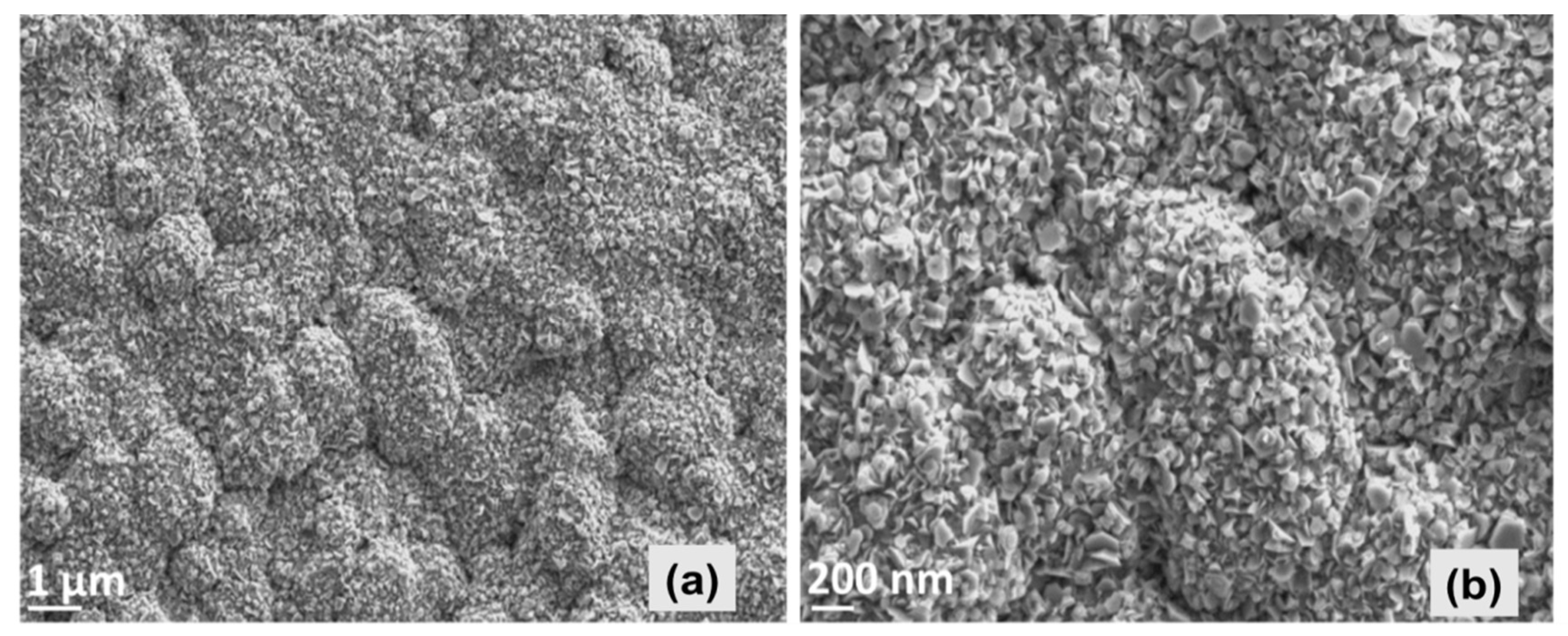 Chemosensors 07 00042 g002 Chemosensors 07 00042 g002
