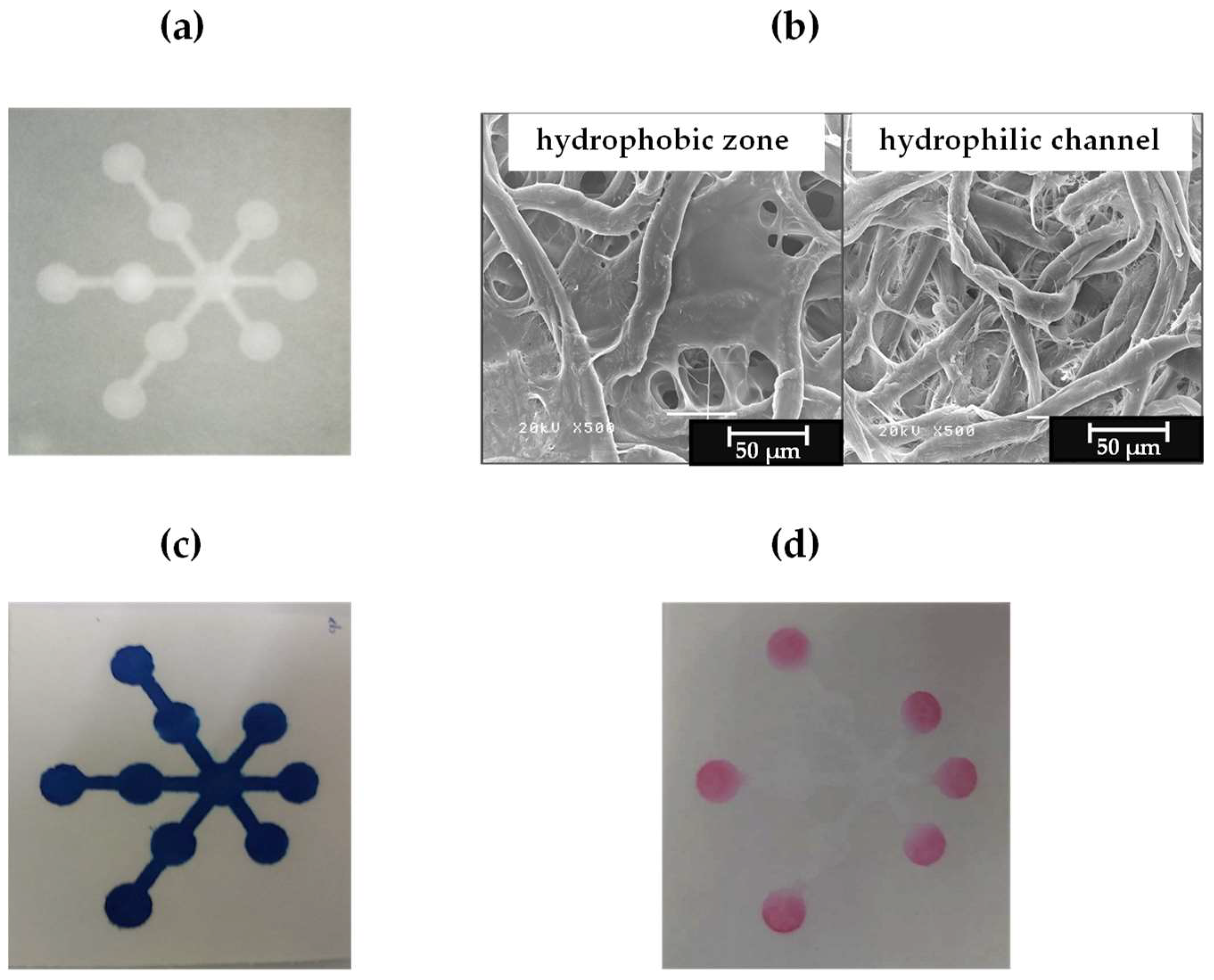 Chemosensors 07 00044 g003